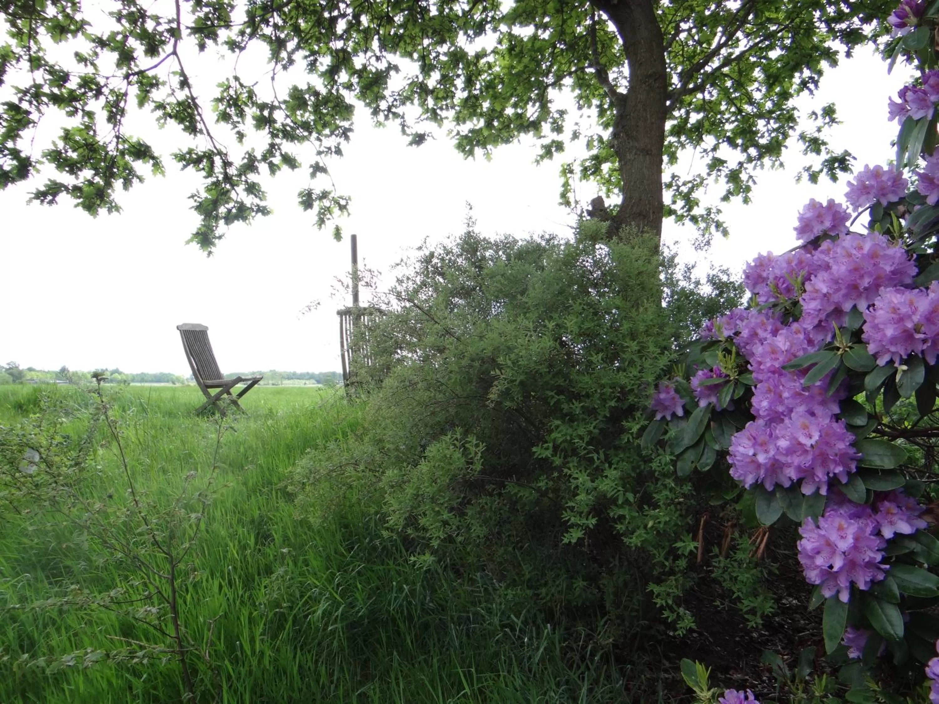 Garden view in B&B Gastvrij Lenthe