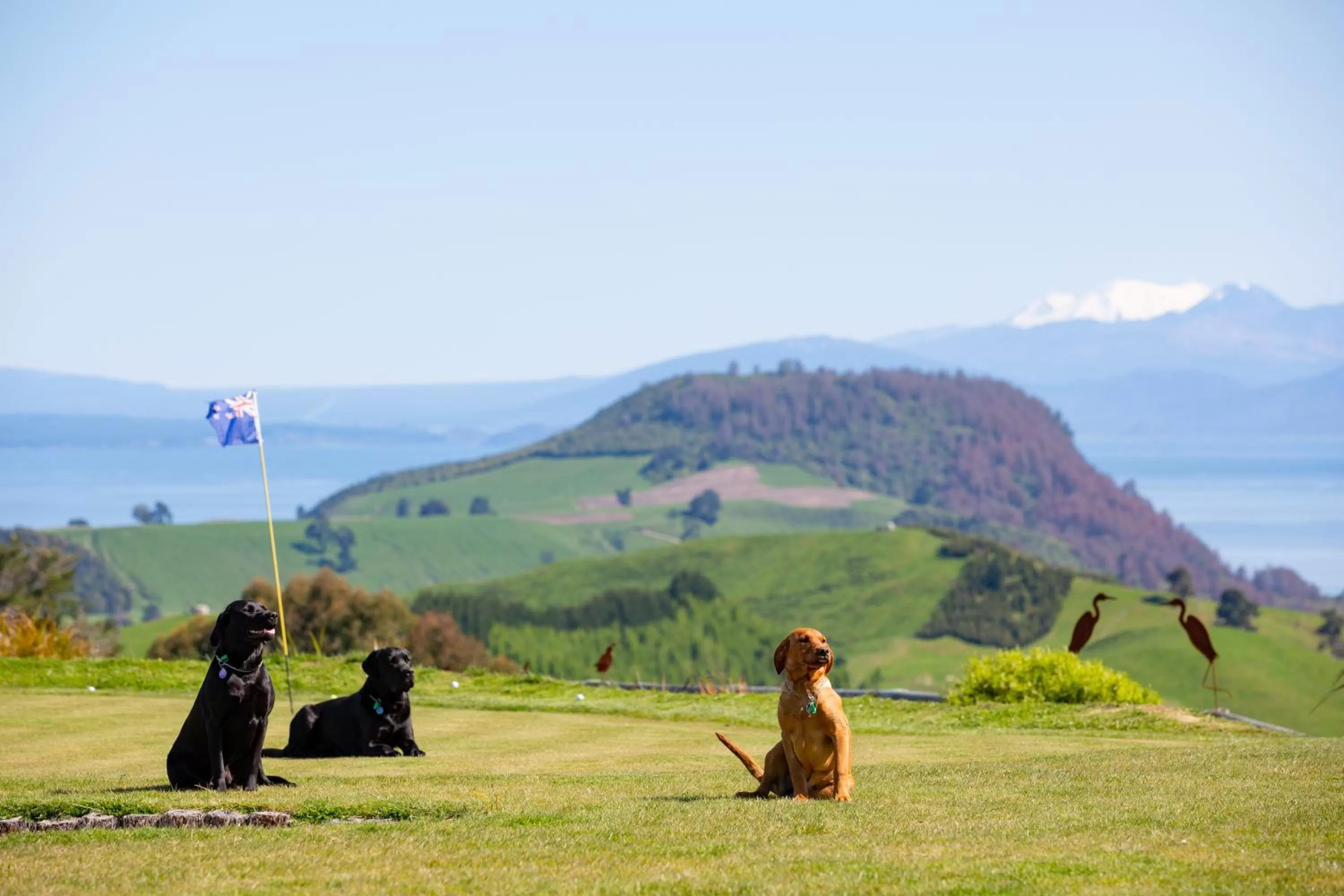 Mountain view in Hilltop Whakaipo Estate