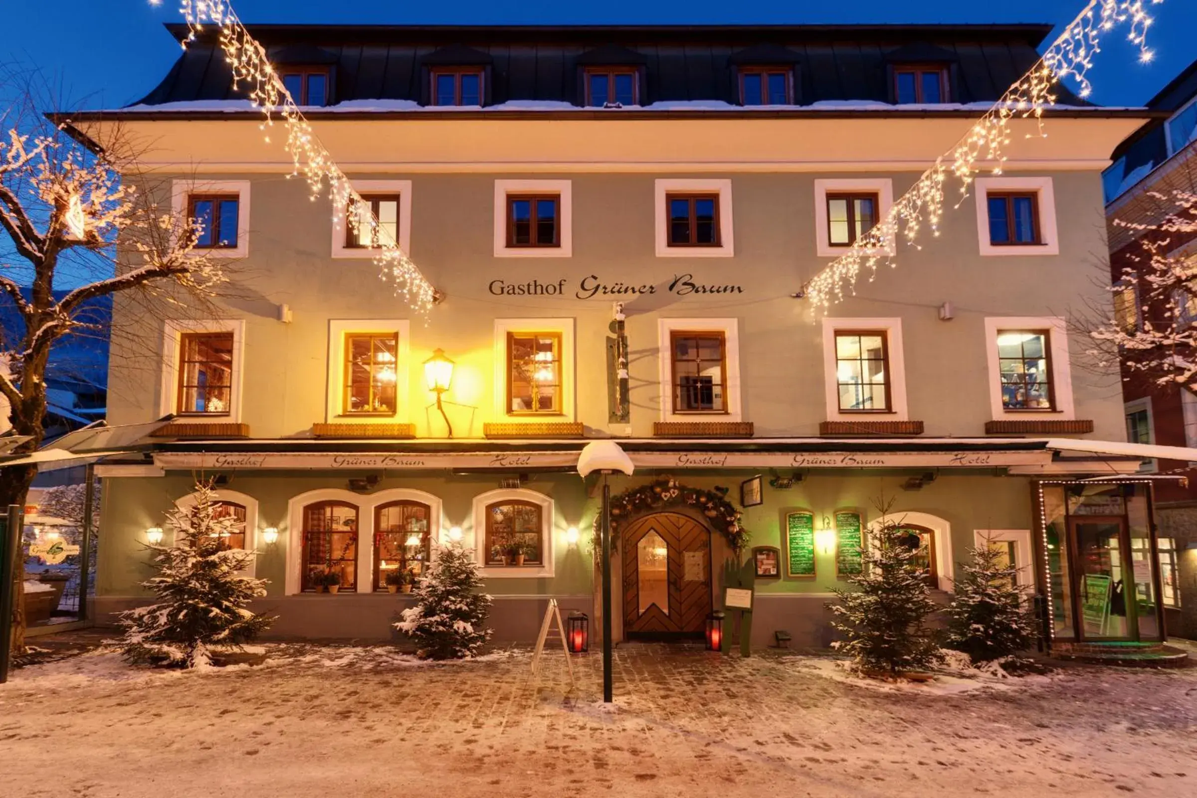 Area and facilities, Property Building in Hotel Grüner Baum