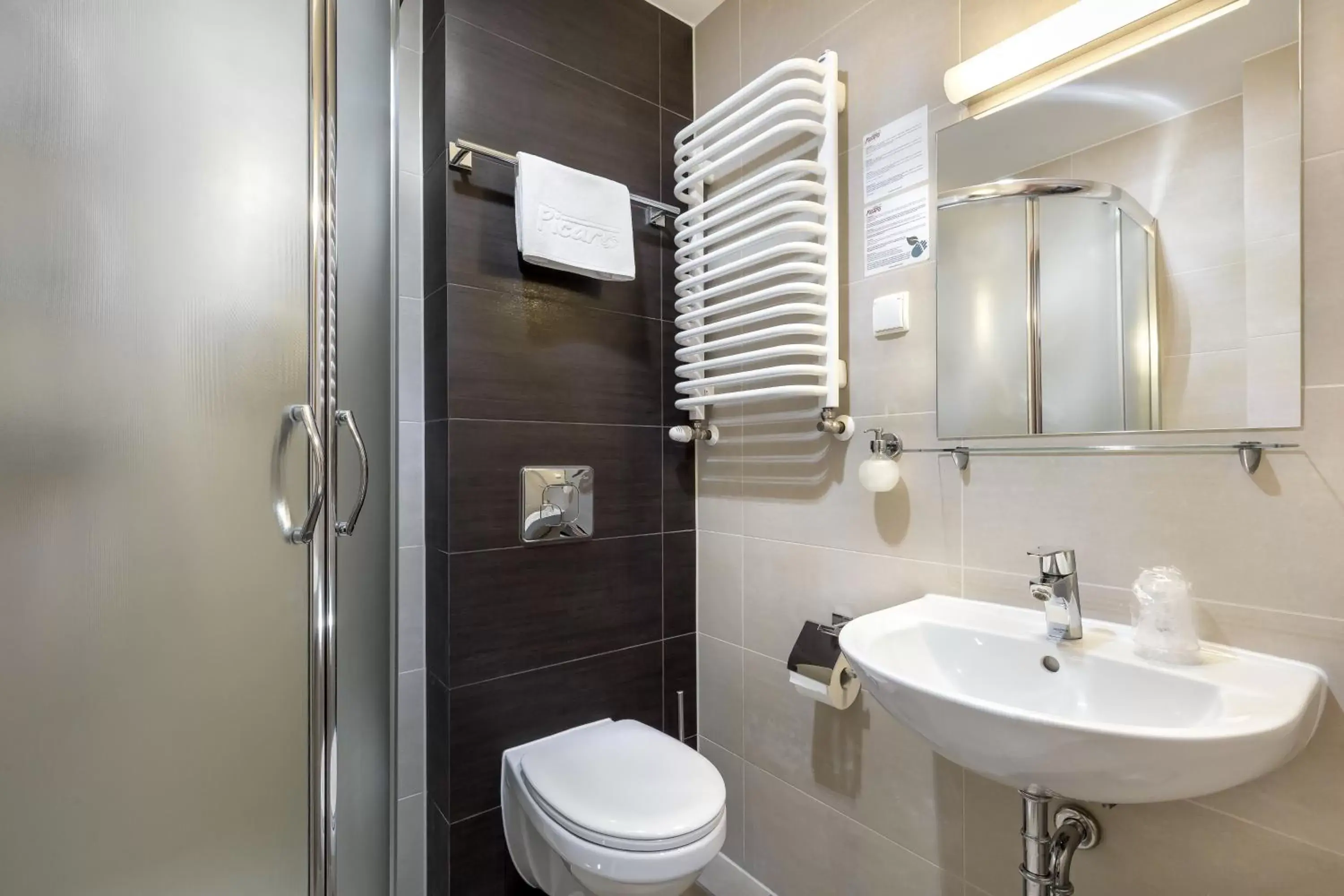 Shower, Bathroom in Hotel Picaro Stok