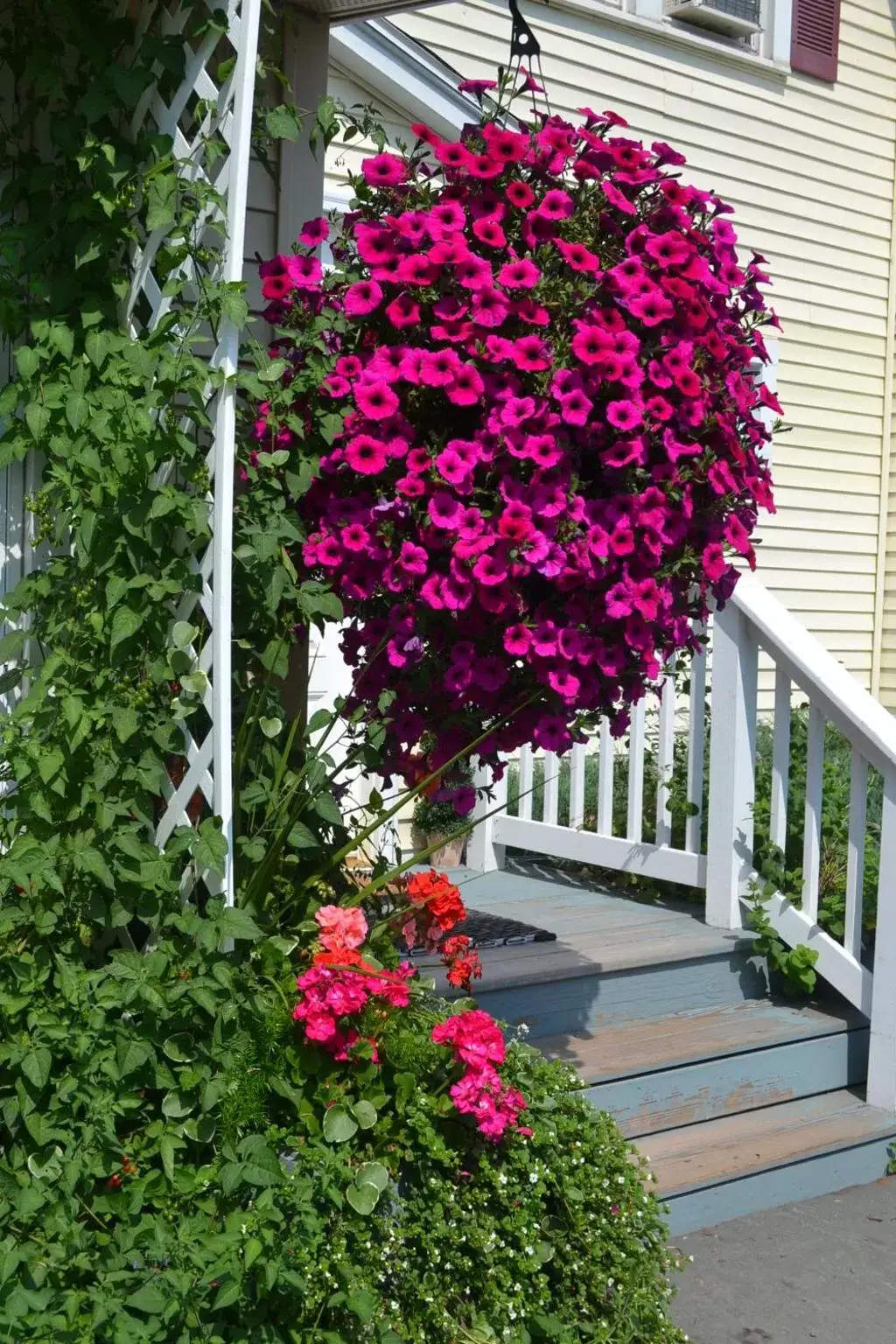 Facade/entrance in Mountain Treasure Bed and Breakfast