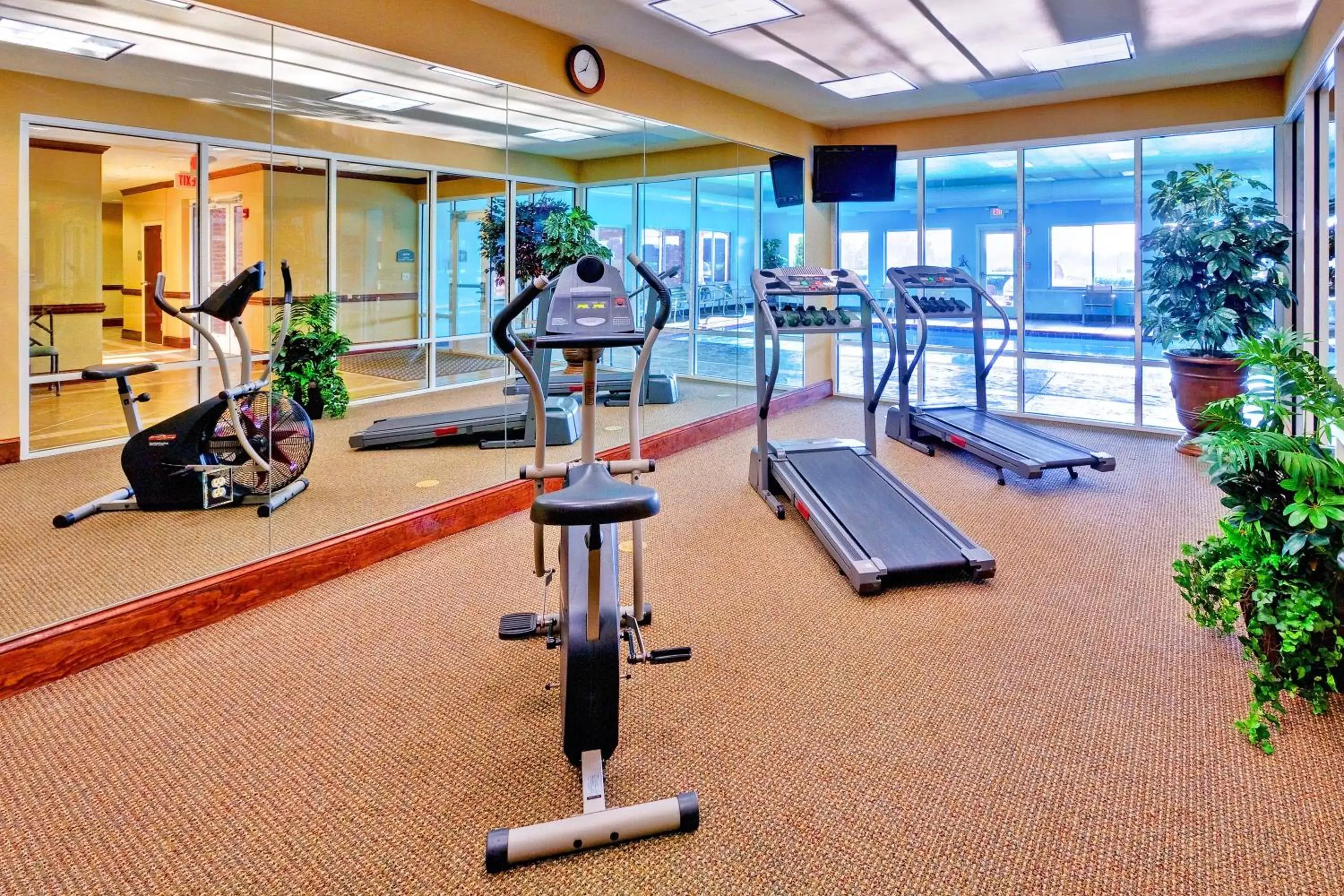 Spa and wellness centre/facilities, Fitness Center/Facilities in Holiday Inn Express Hotel & Suites Millington-Memphis Area, an IHG Hotel