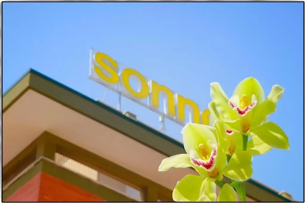 Property building in Hotel Sonne