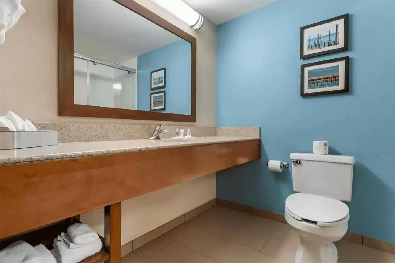 Shower, Bathroom in Comfort Suites Southport - Oak Island