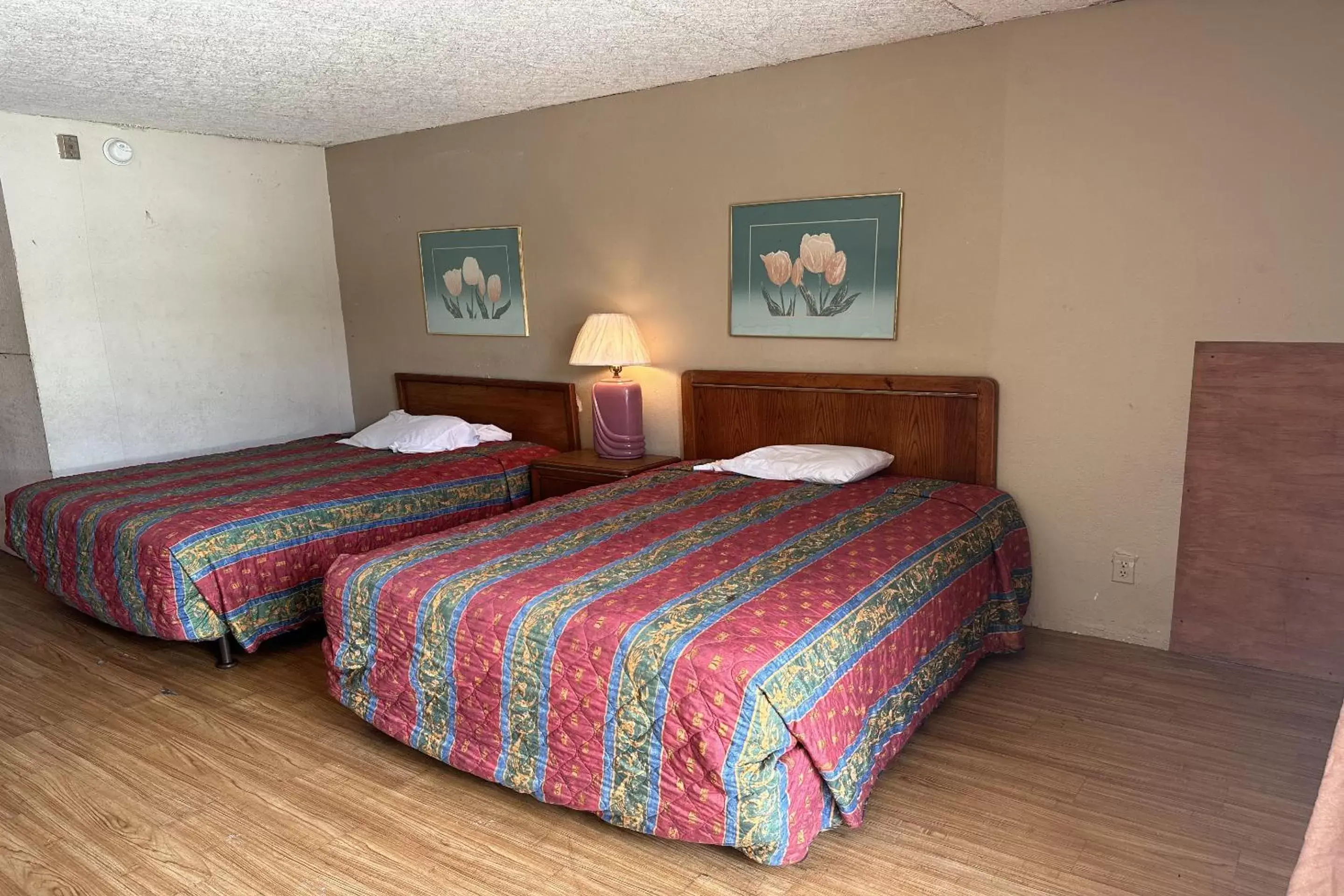 Bedroom in Kampus Inn Gainesville - University Area Hotel Bedroom in Kampus Inn Gainesville - University Area Hotel