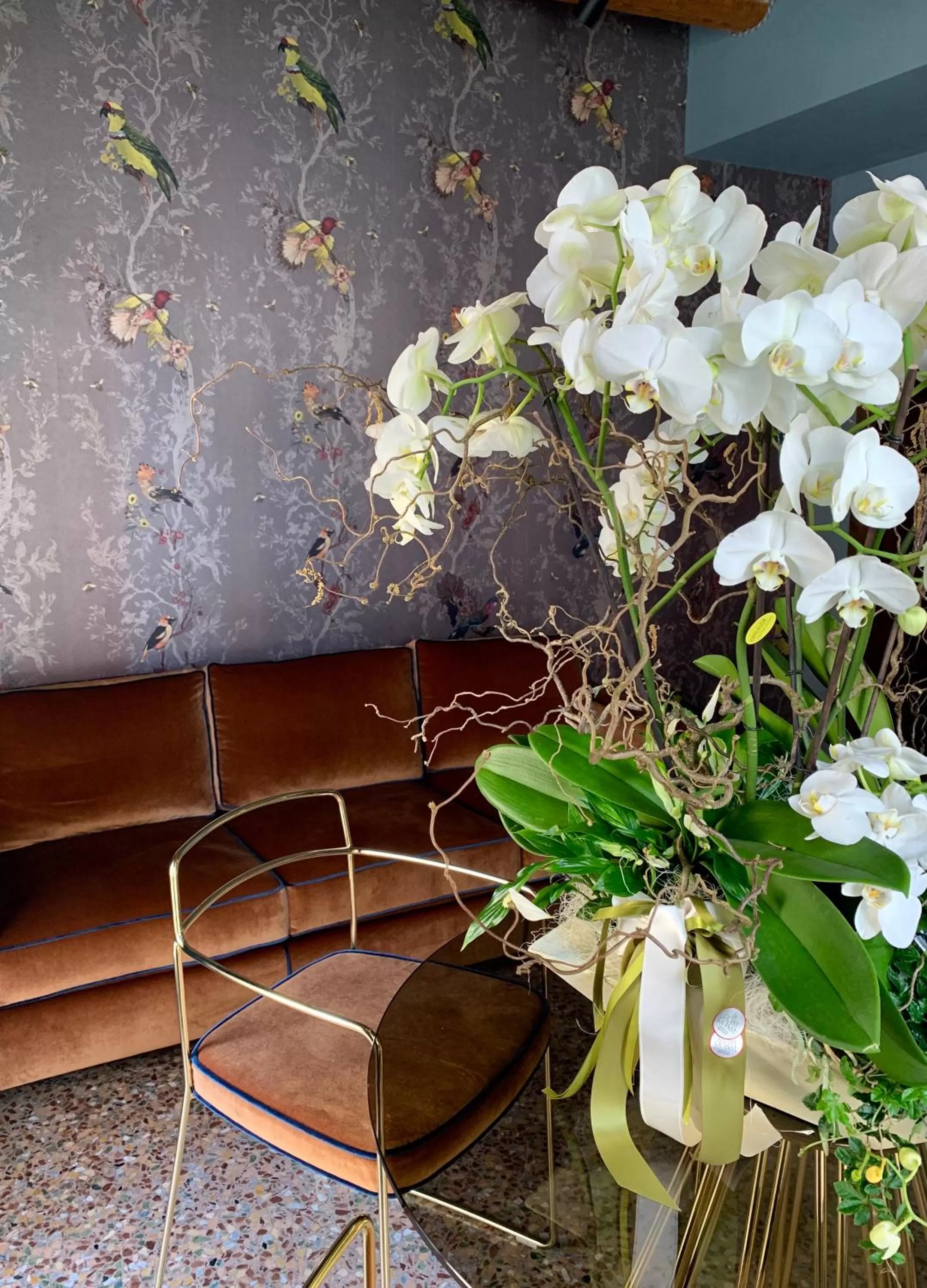 Living room in Madama Garden Retreat