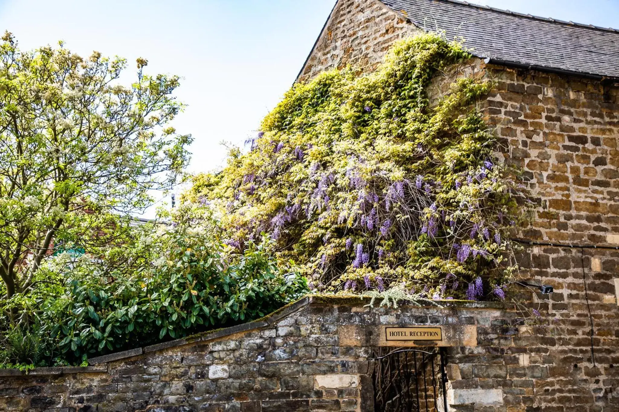 Facade/entrance in Wisteria Hotel