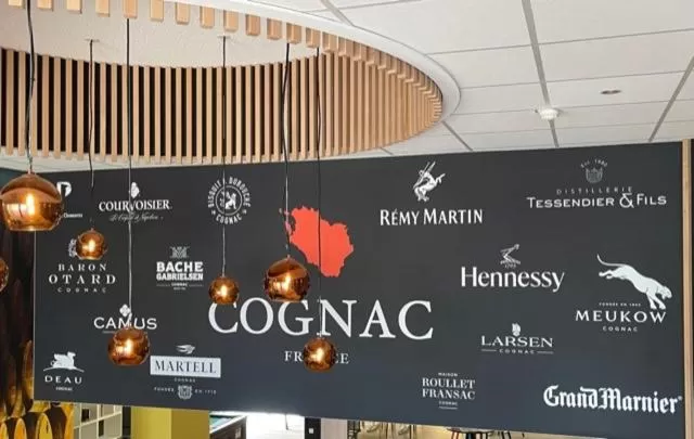 Decorative detail in Ibis Styles Cognac