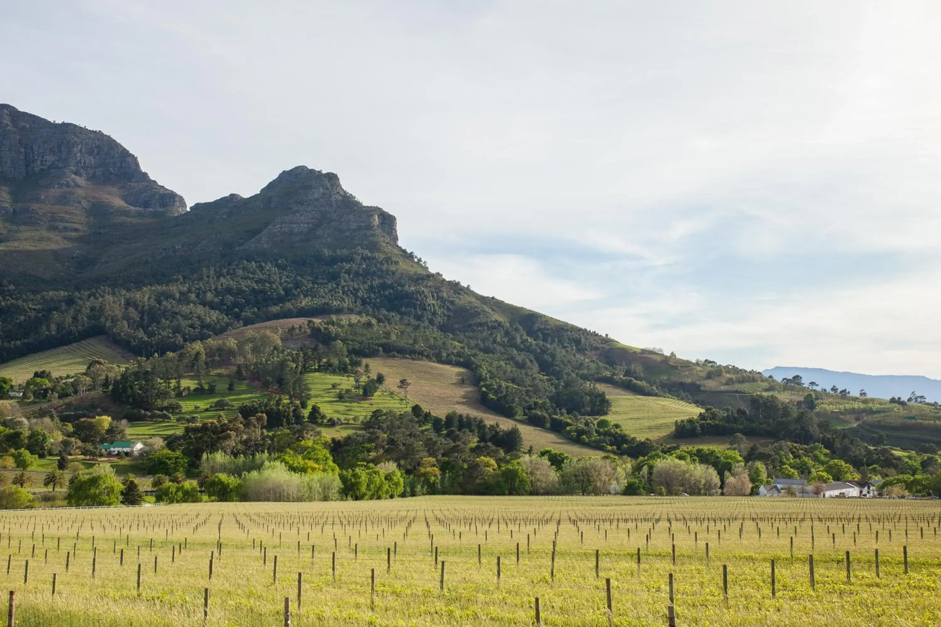 View (from property/room), Mountain View in Banhoek Lodge