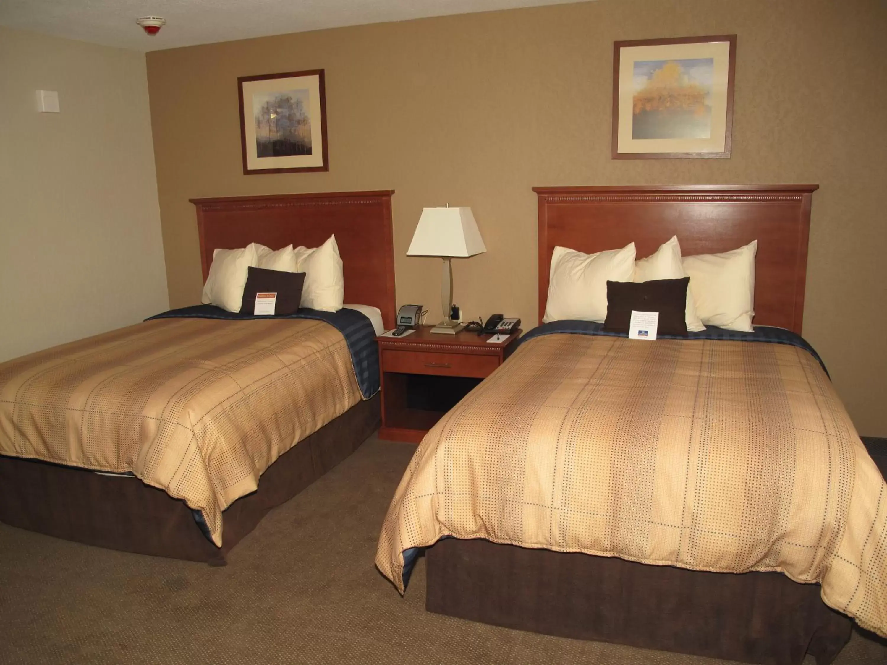 Photo of the whole room, Bed in Candlewood Suites Elgin – Northwest Chicago, an IHG Hotel