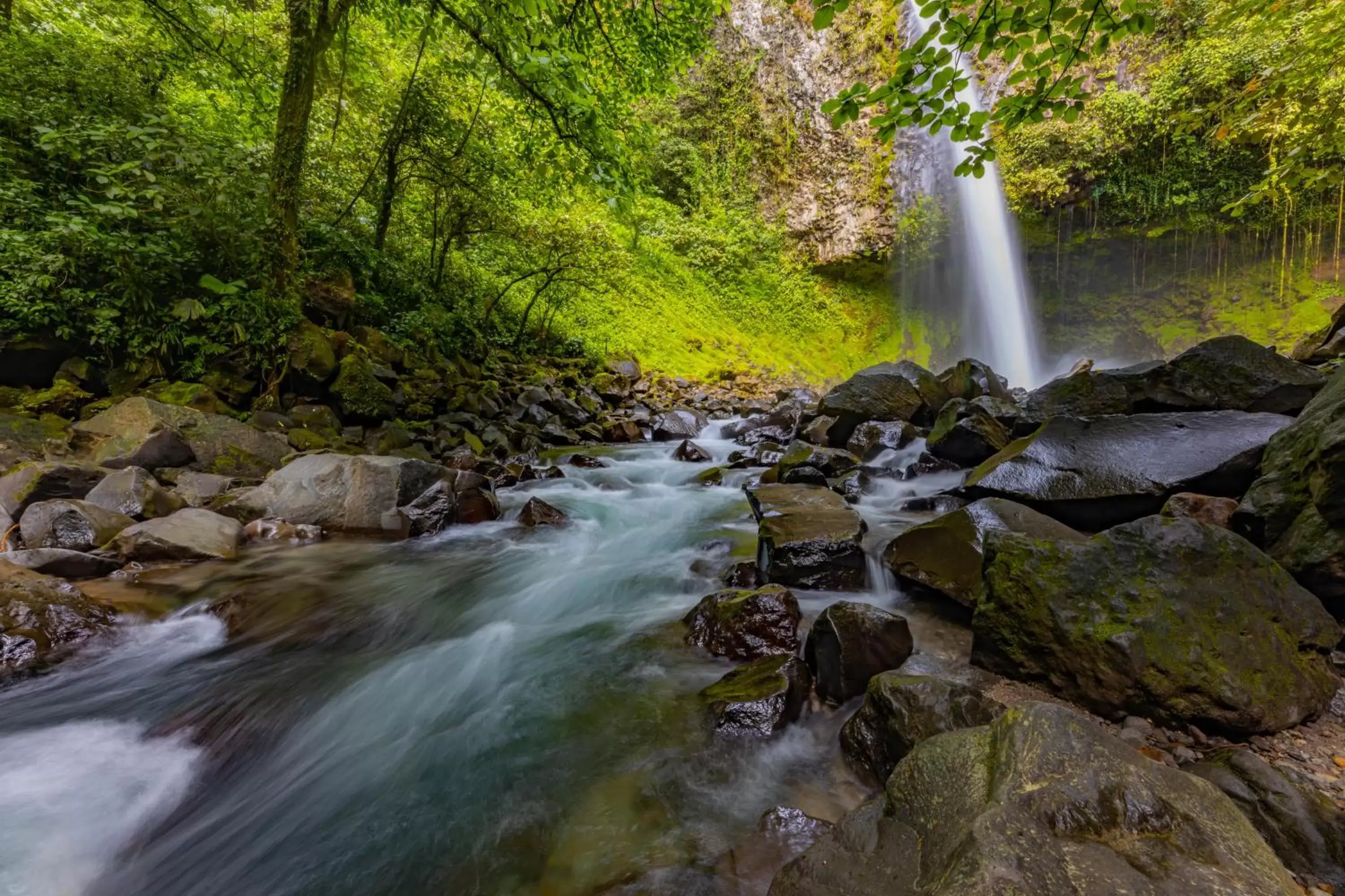 Activities, Natural Landscape in Tifakara Boutique Hotel & Birding Oasis