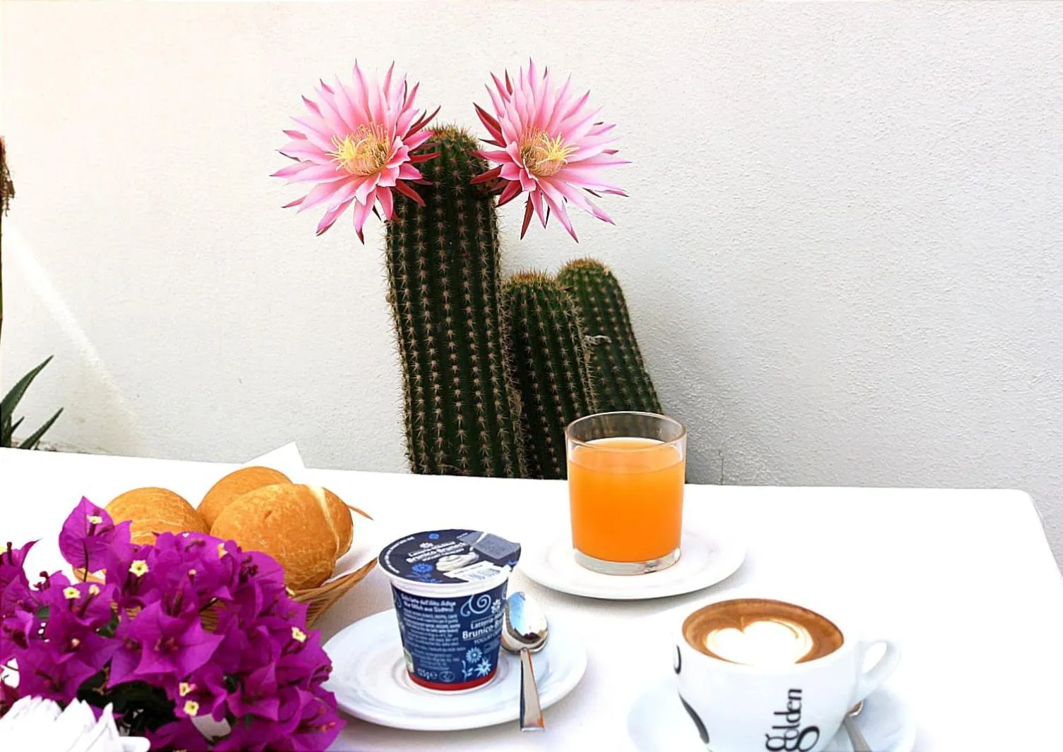 Balcony/Terrace in Hotel Rosa dei Venti