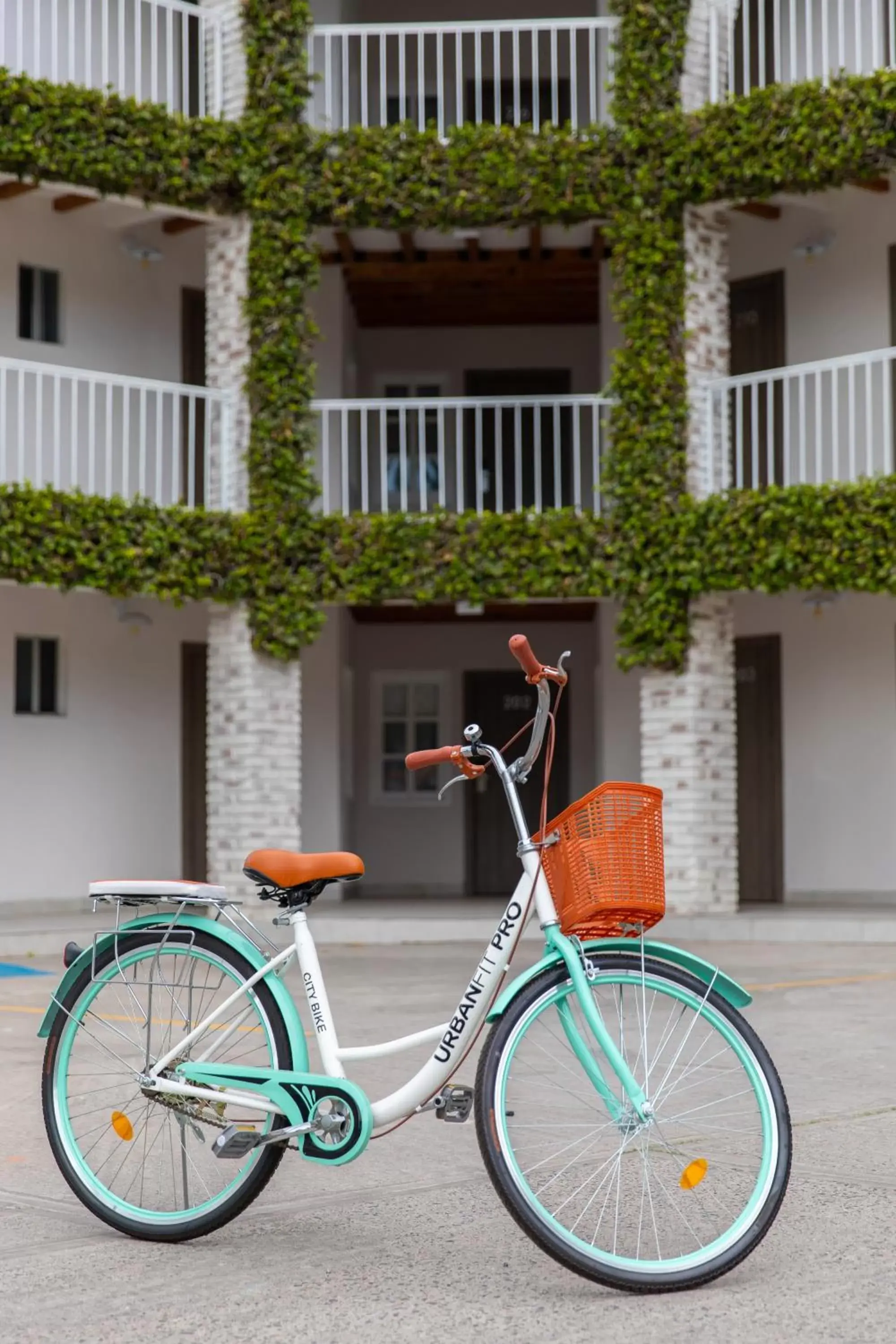 Cycling, Property Building in Beach House by Eazy