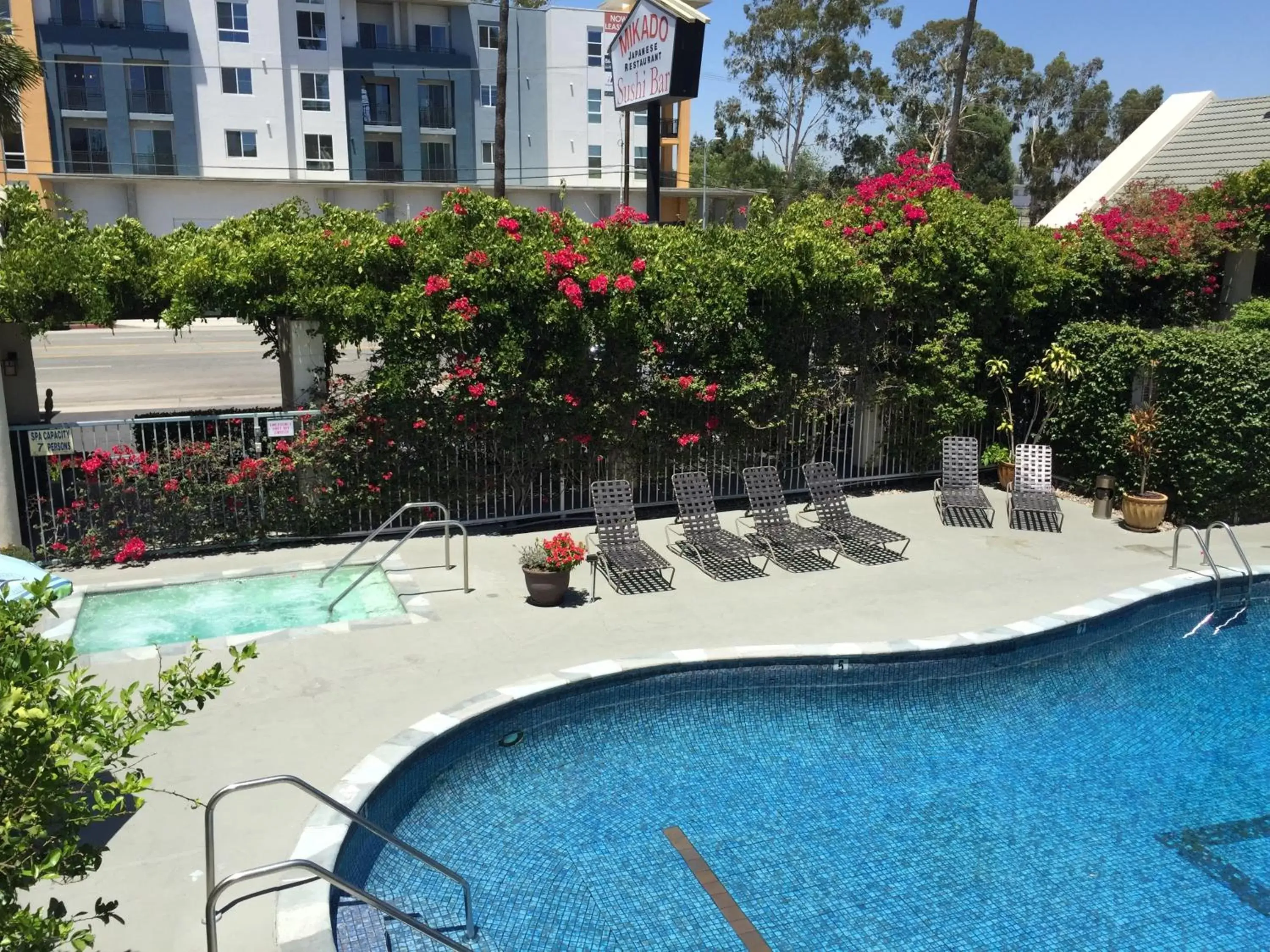 Pool view, Swimming Pool in Mikado Hotel