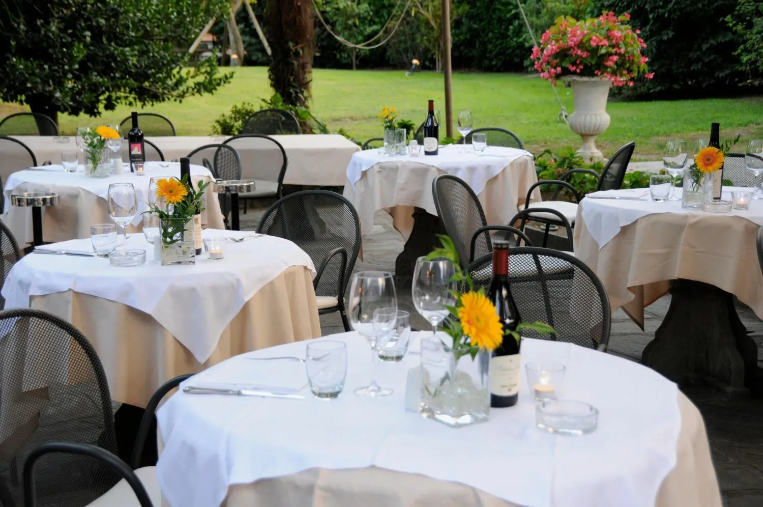 Restaurant/places to eat in Hotel Serenella