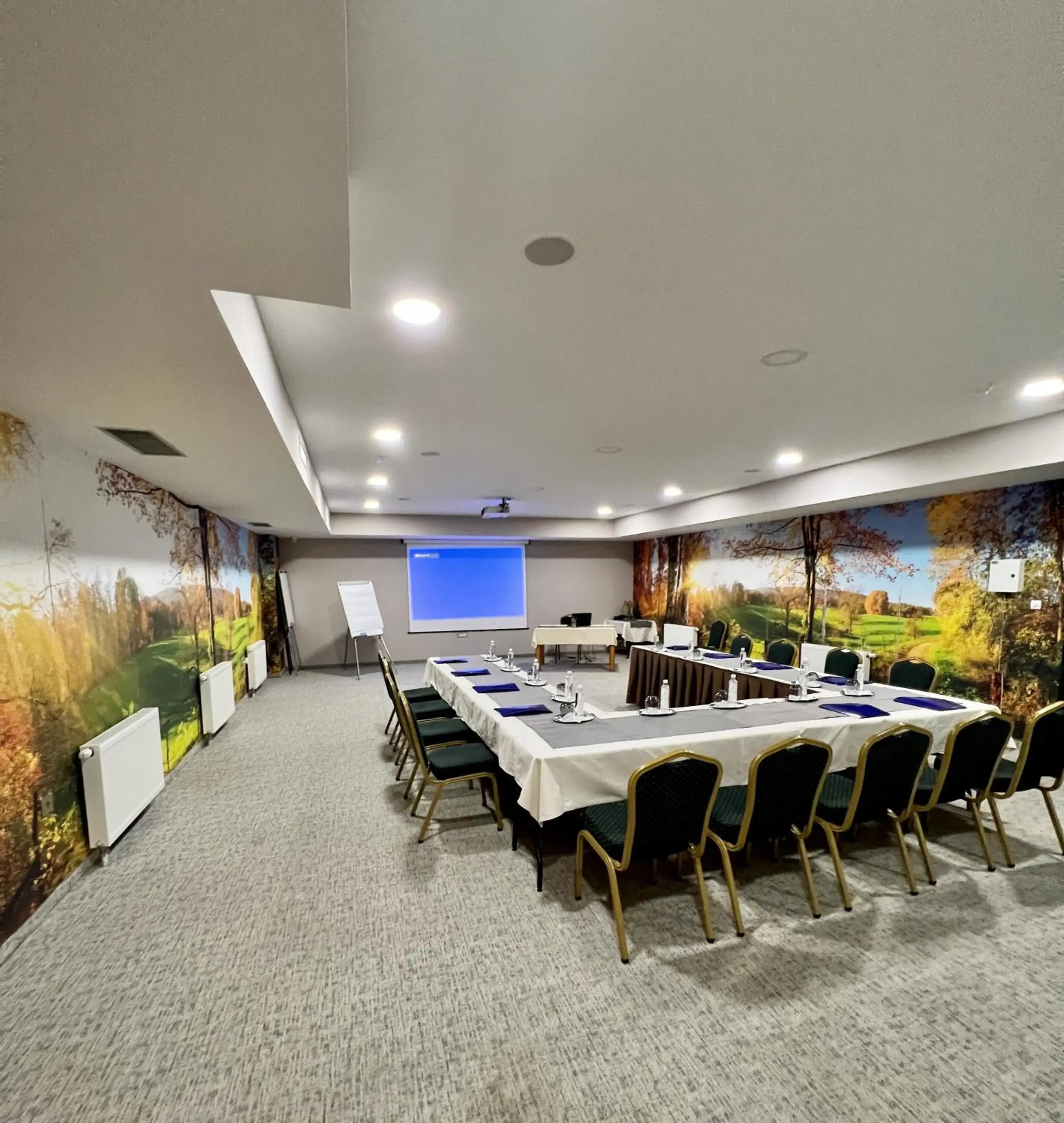 Meeting/conference room in Pino Nature Hotel