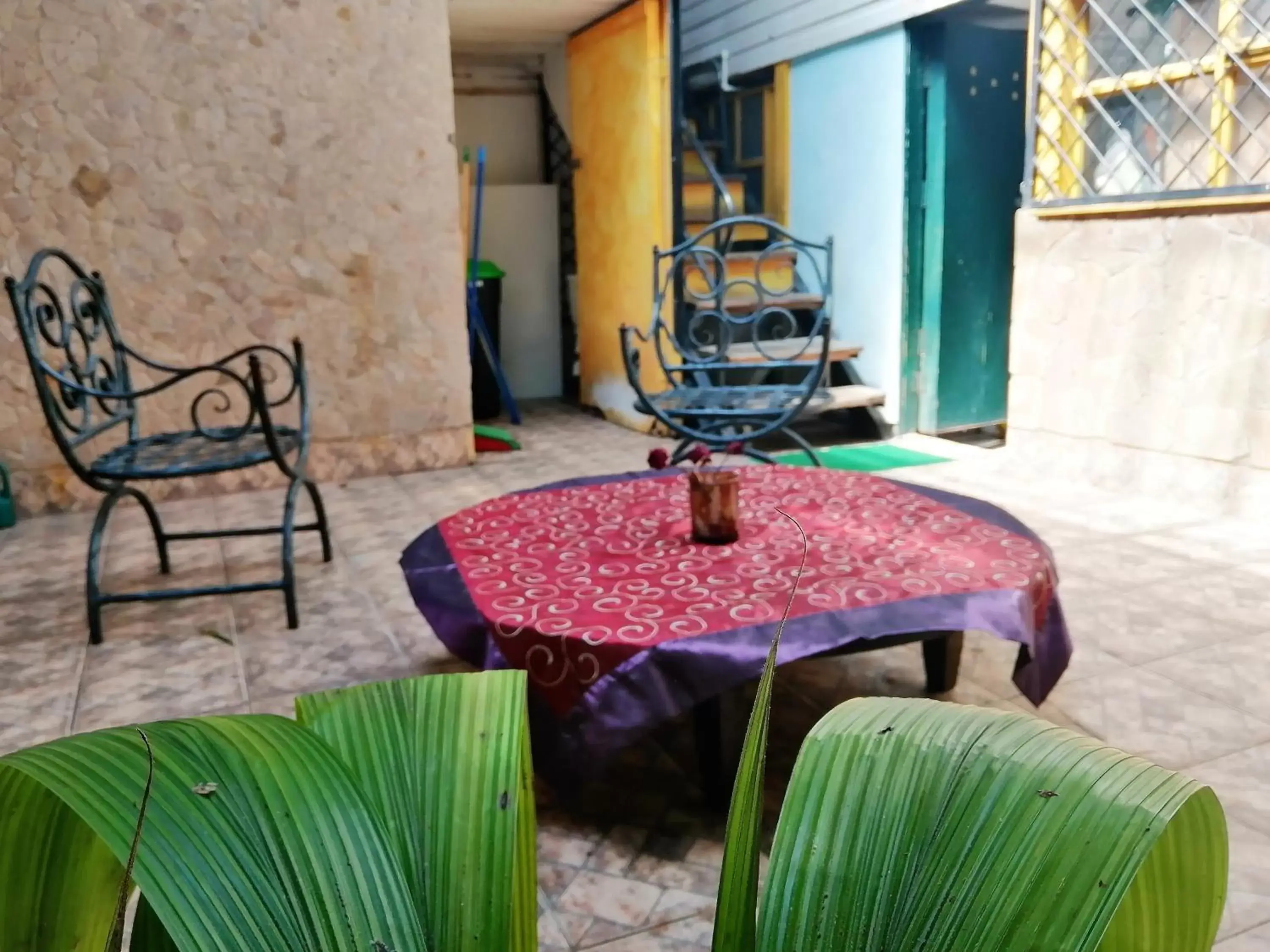 Patio in Casa Leon Guesthouse