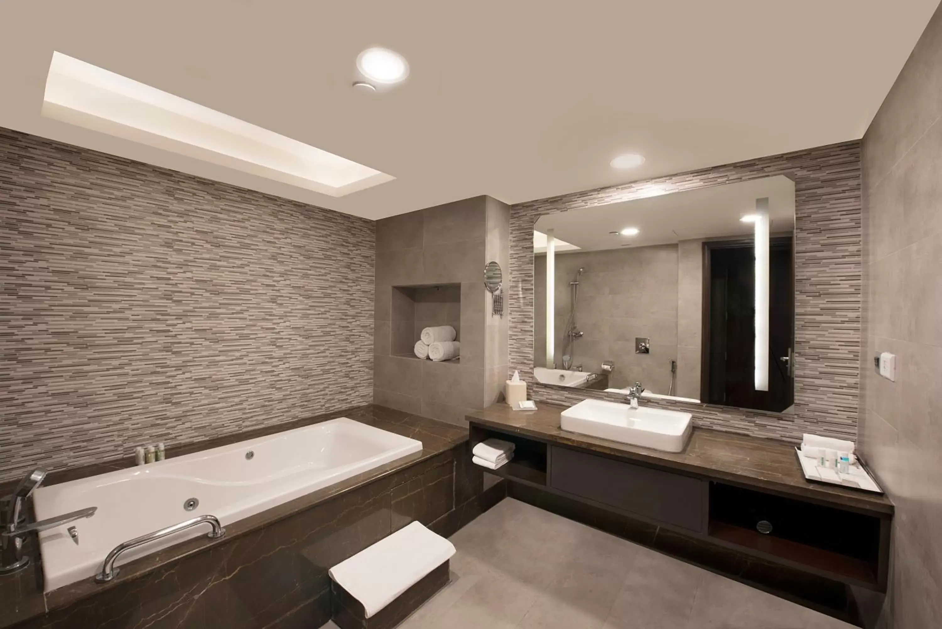 Bathroom in Hilton Garden Inn New Delhi/Saket