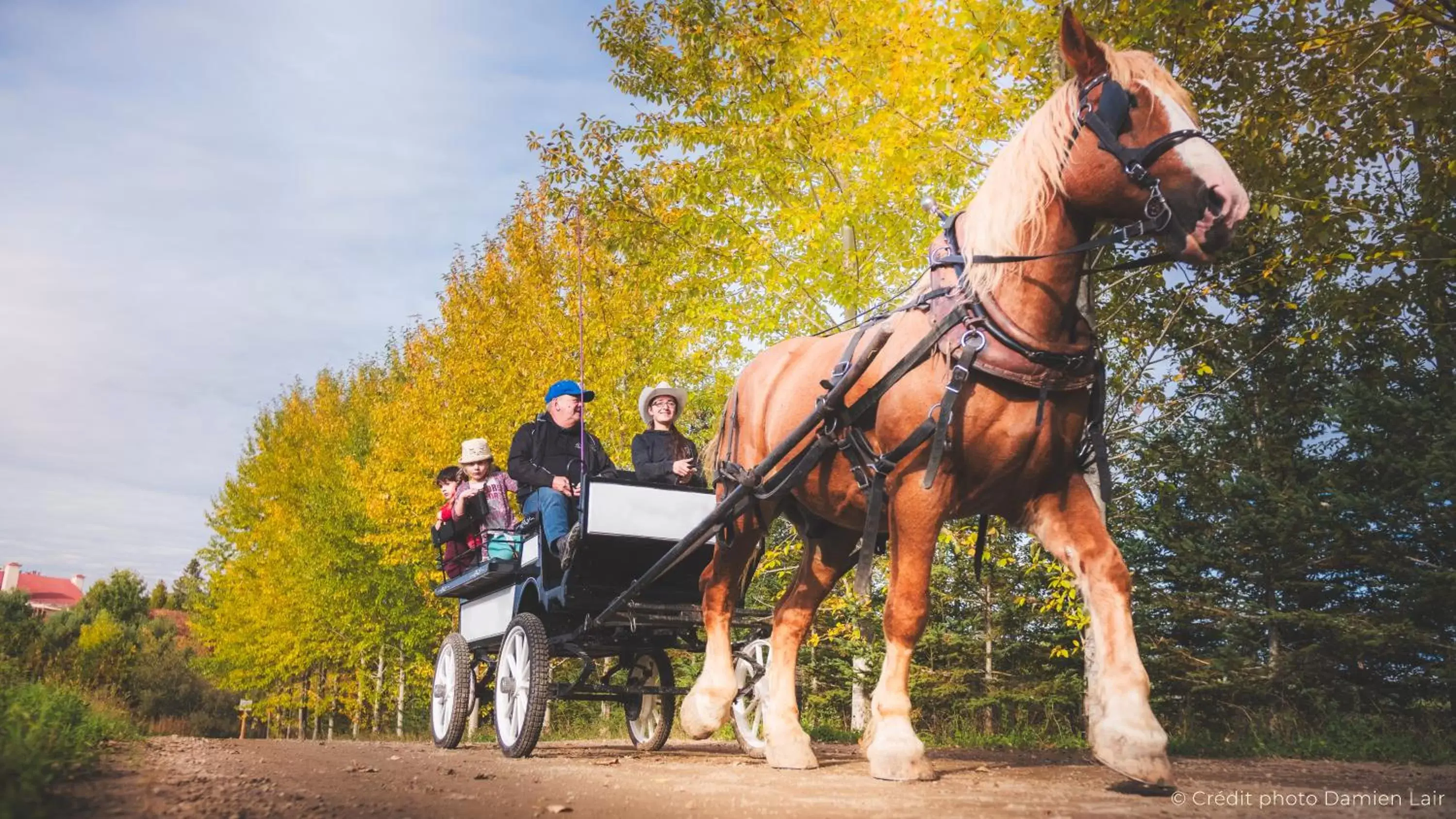 Natural landscape, Horseback Riding in Le Baluchon Éco-villégiature