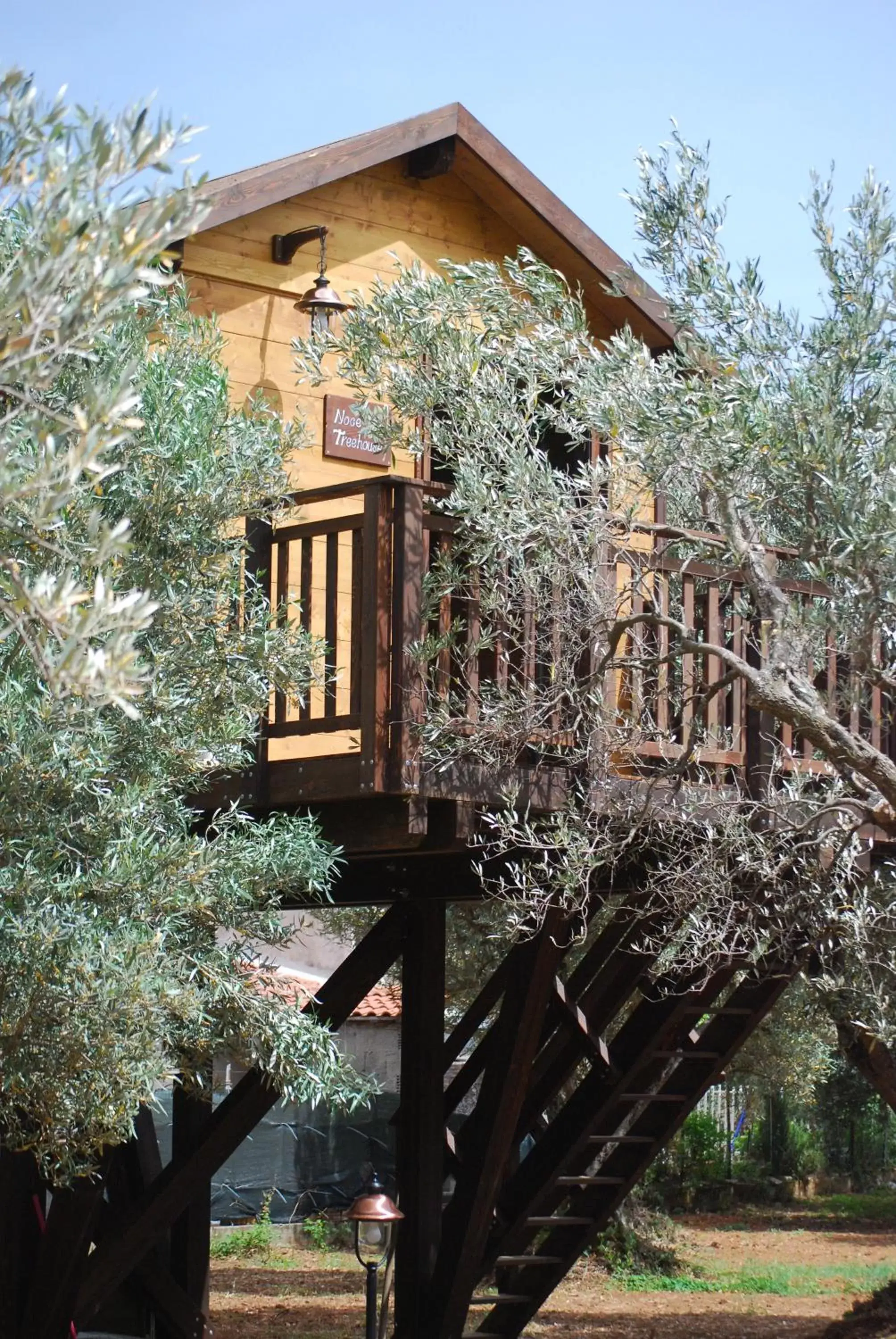 Property Building in Palazzo Conforti Tree House Resort