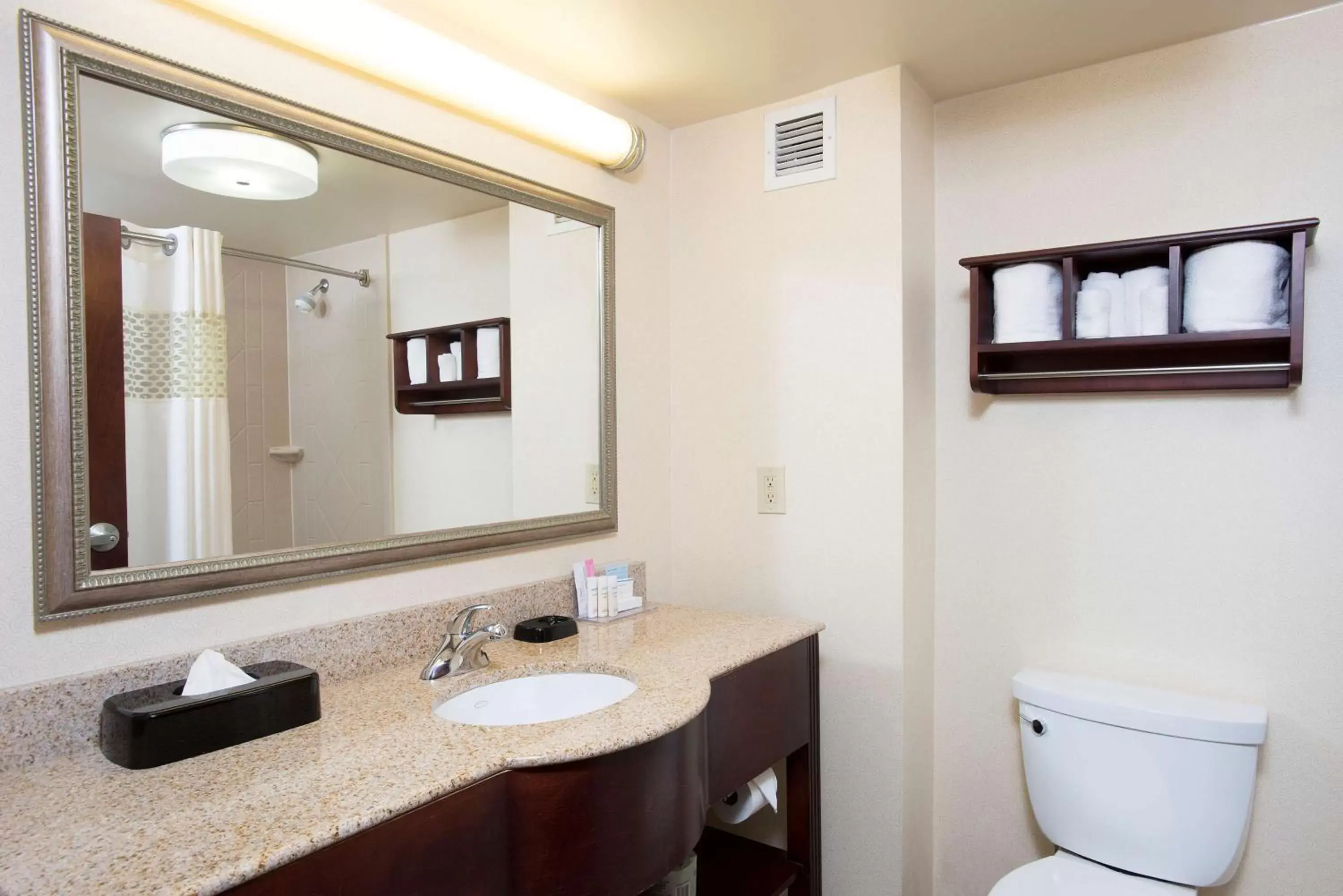 Bathroom in Hampton Inn & Suites Cincinnati-Union Centre