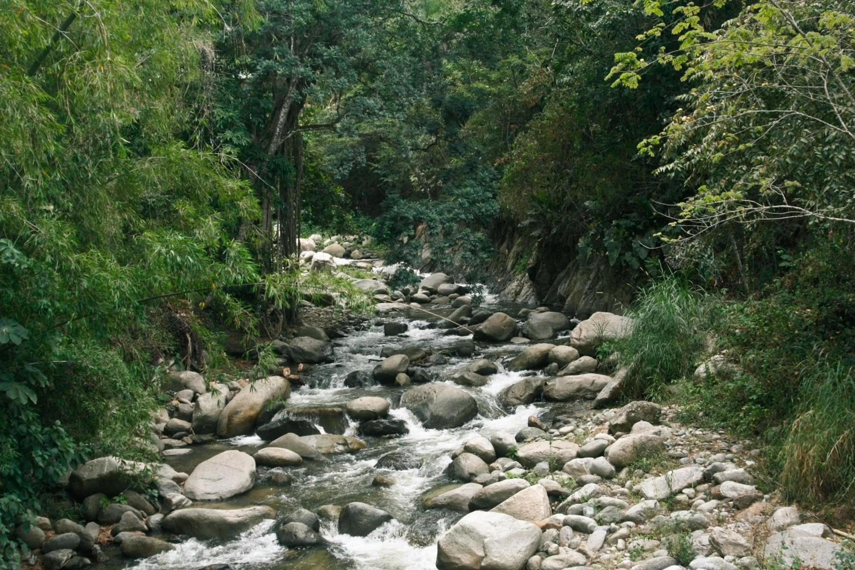 Natural landscape in Rio Escondido
