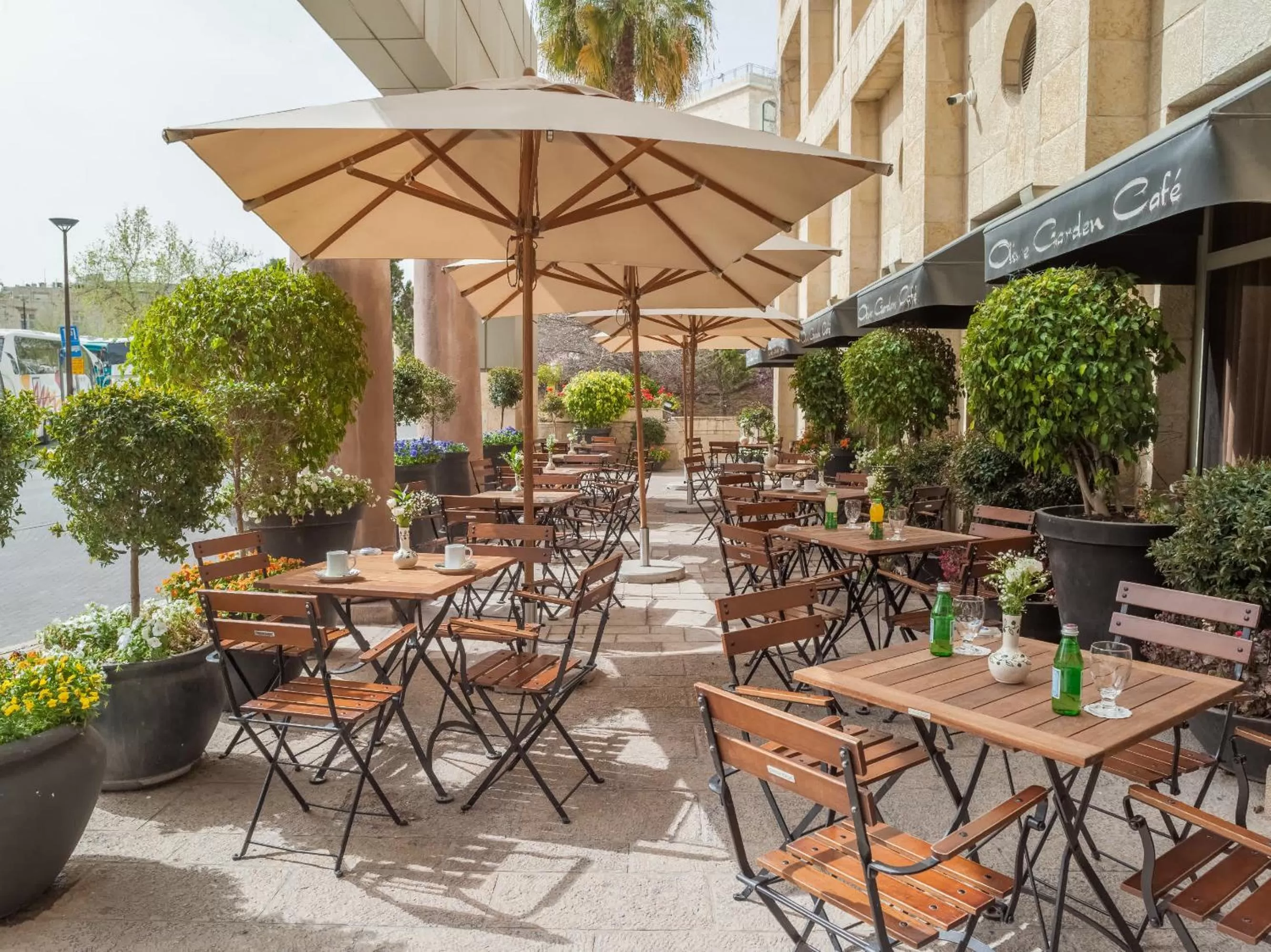 Restaurant/places to eat in Olive Tree Hotel