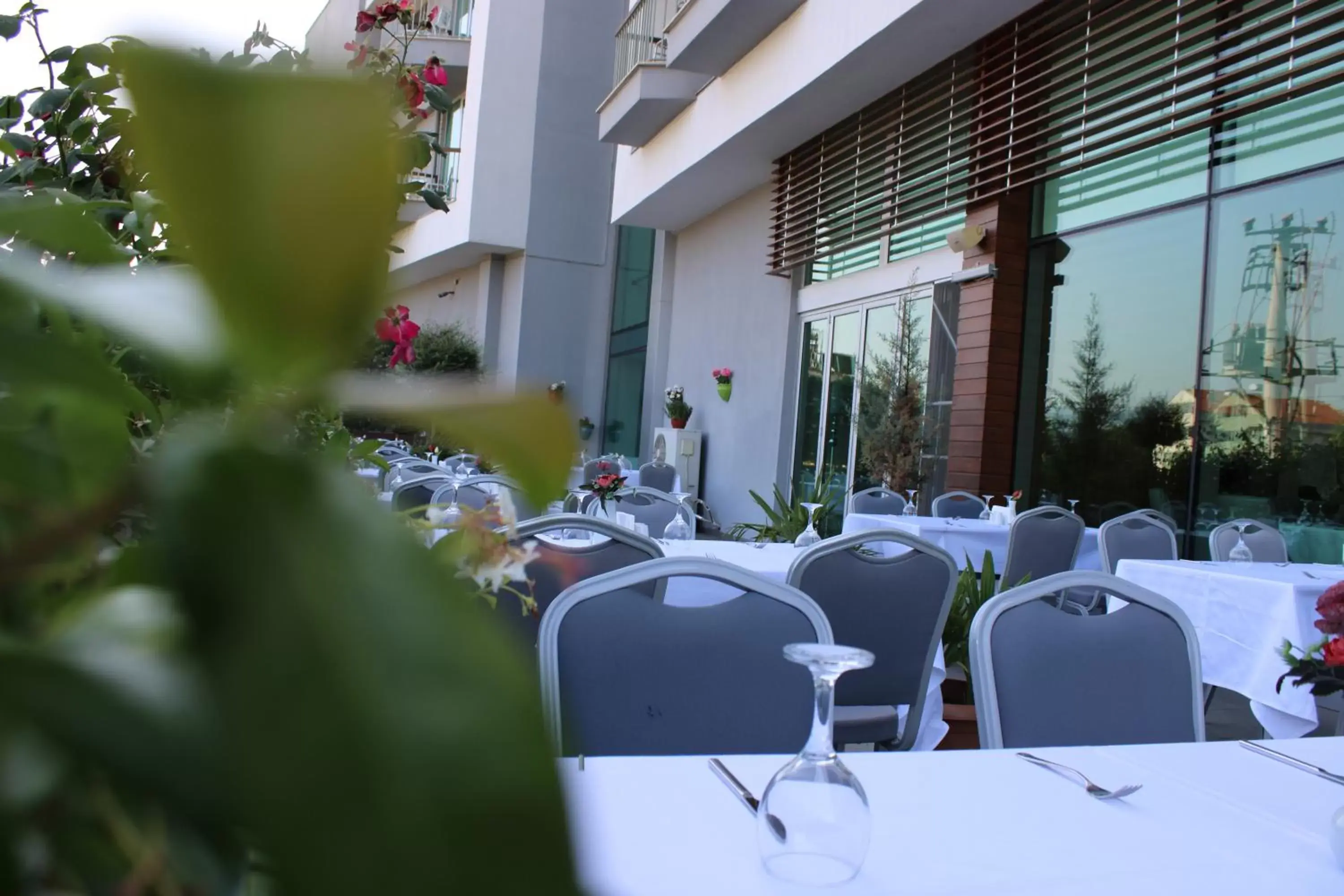 Restaurant/places to eat in Yalova Lova Hotel & SPA Yalova