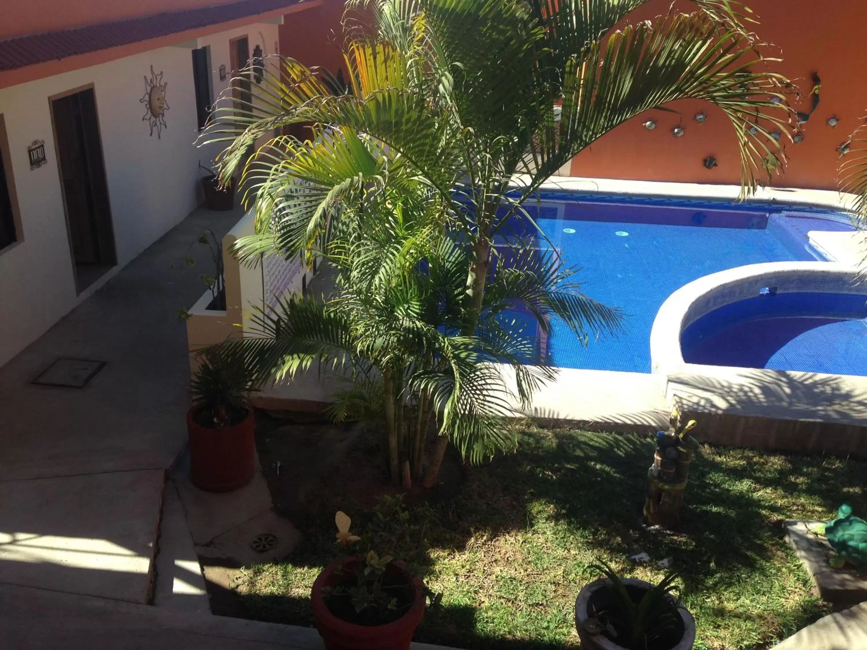 Pool View in Hotel Oasis