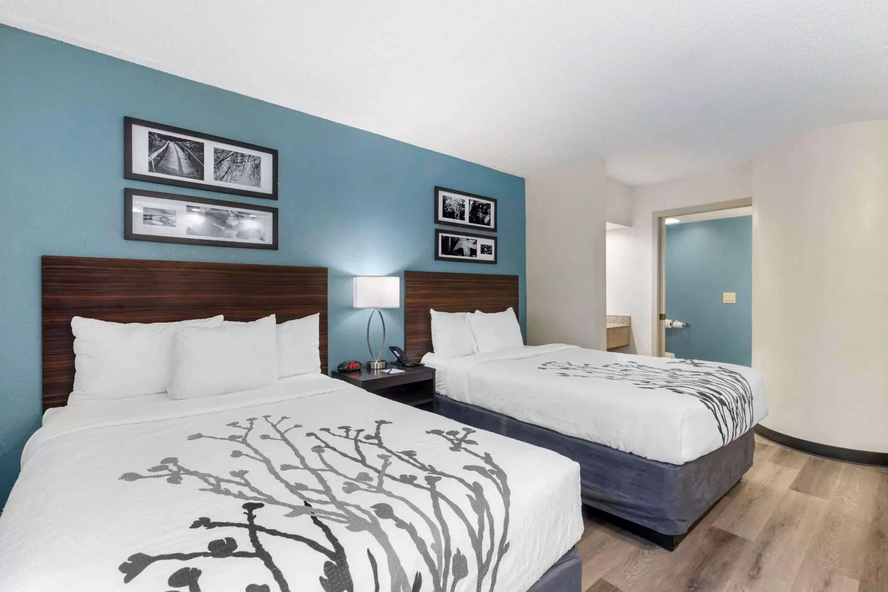 Bedroom, Bed in Sleep Inn Mount Pleasant - Charleston