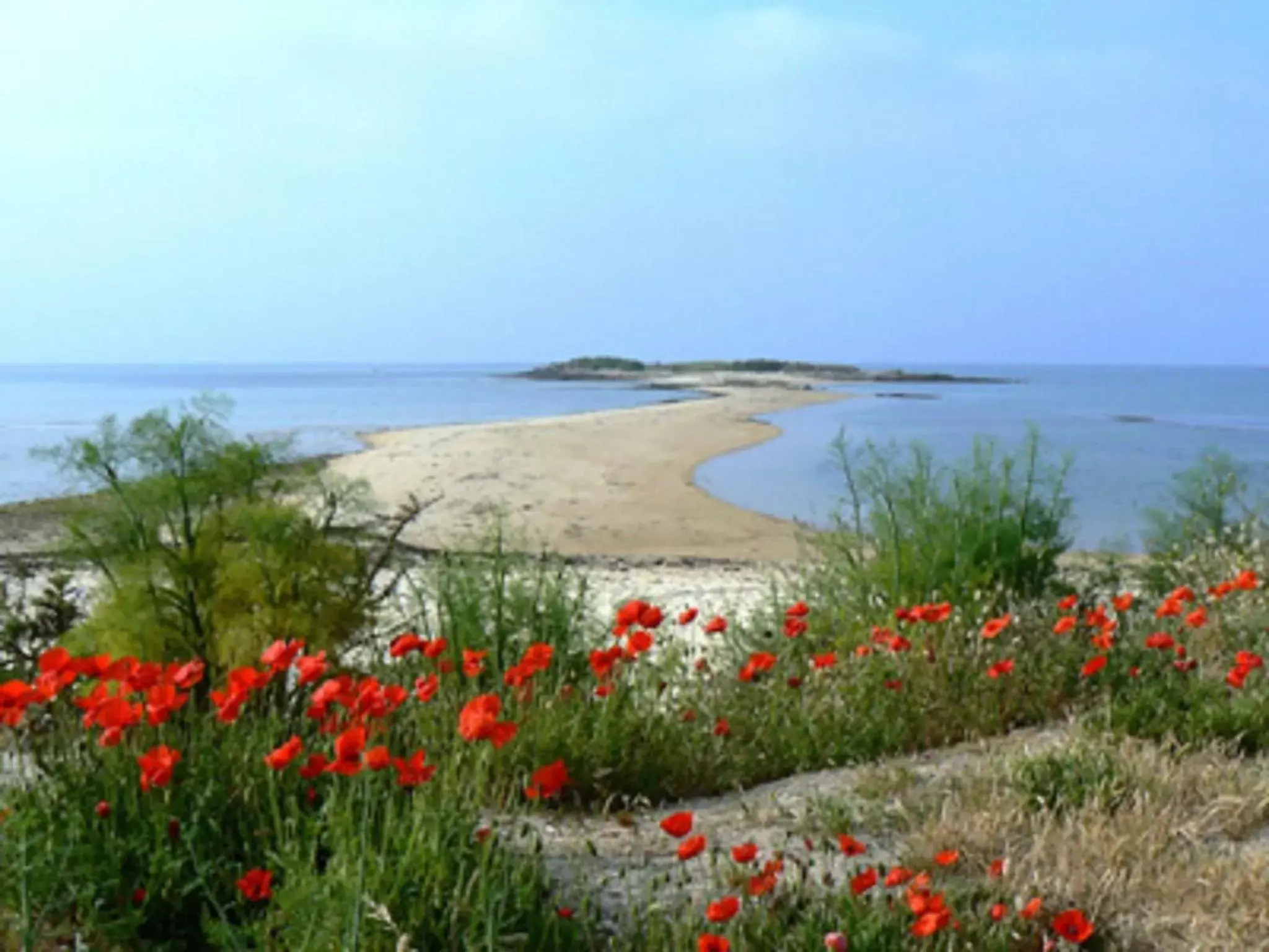 Natural landscape in Le Lodge Kerisper