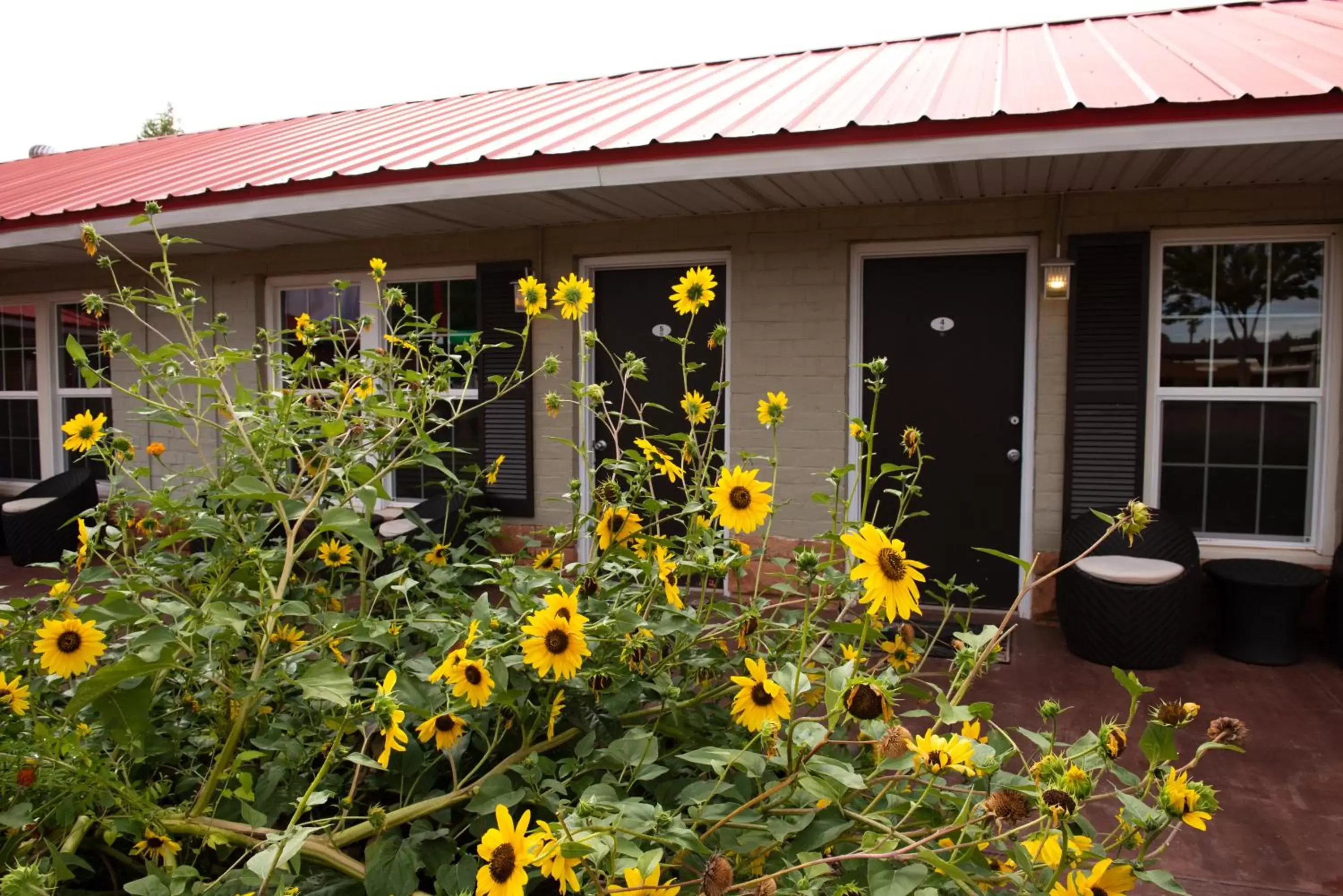 Patio in The Flagstone Boutique Inn & Suites