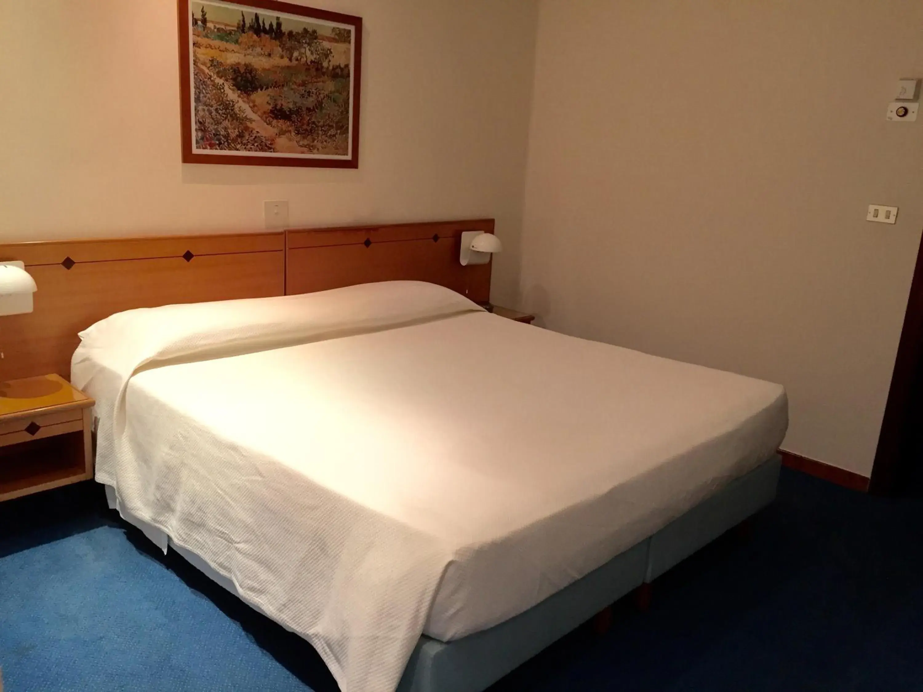 Bed in Hotel Barsotti