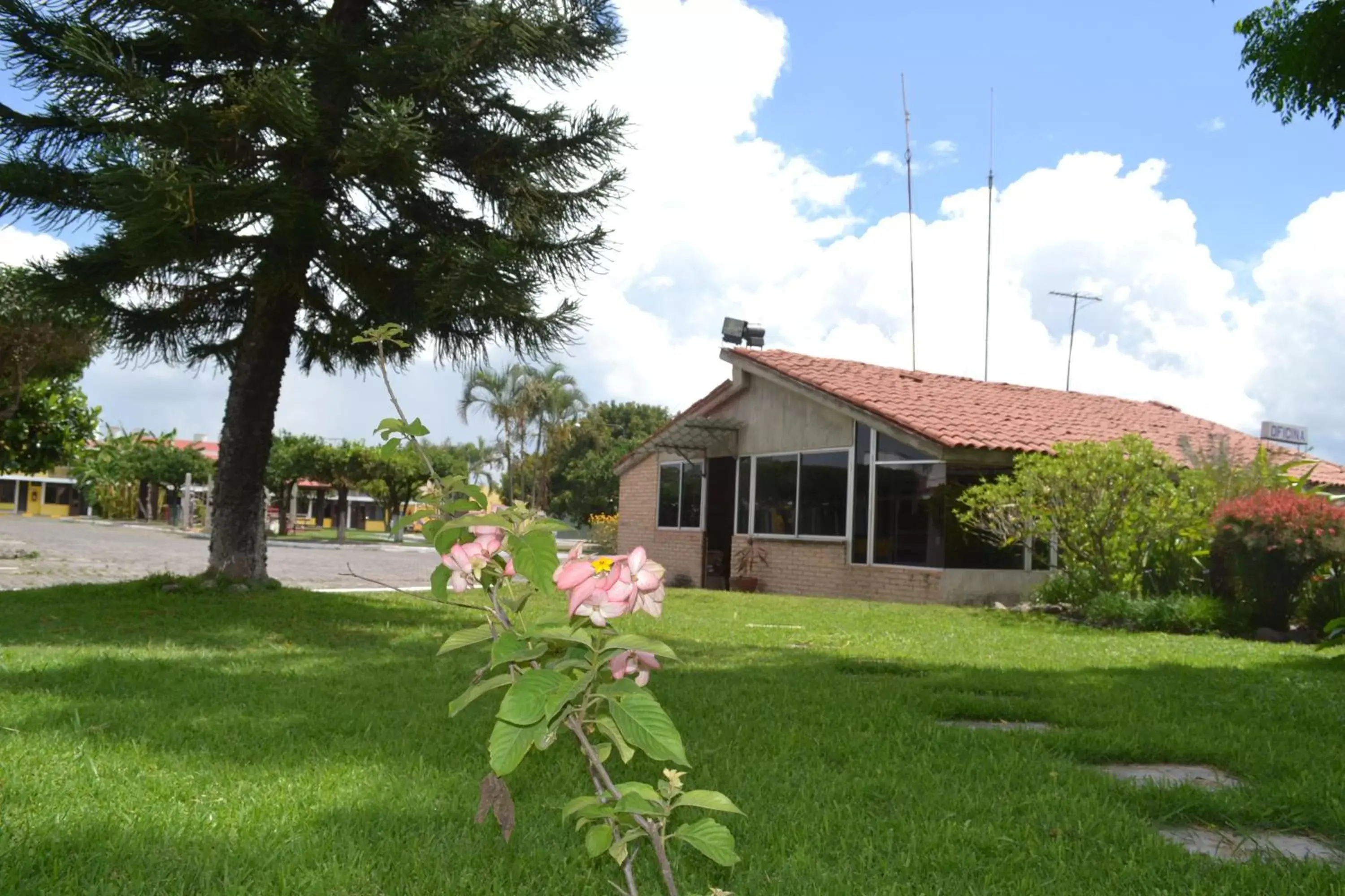 Lobby or reception, Property Building in Hotel Paraiso