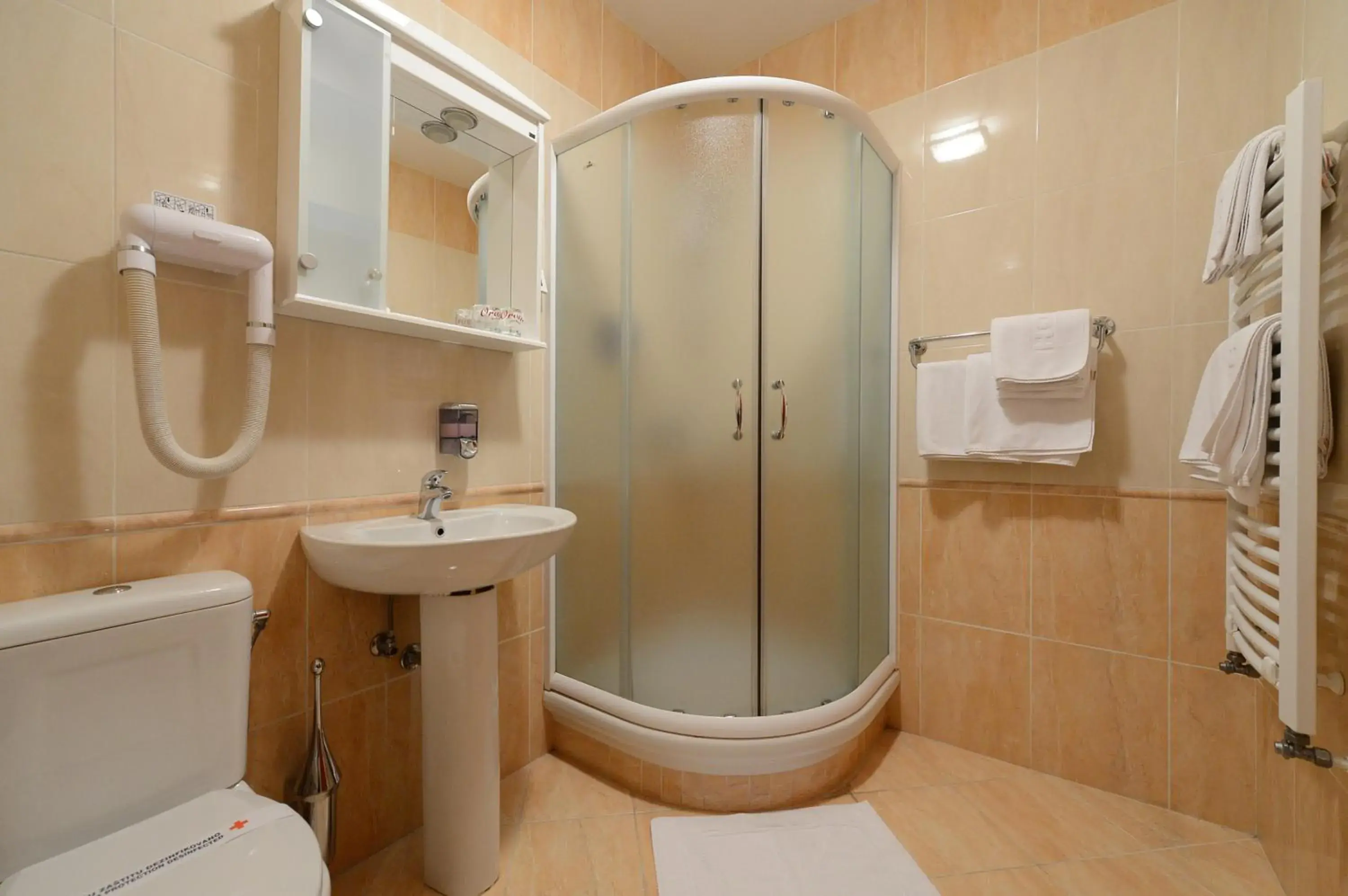 Bathroom in Hotel Orasac