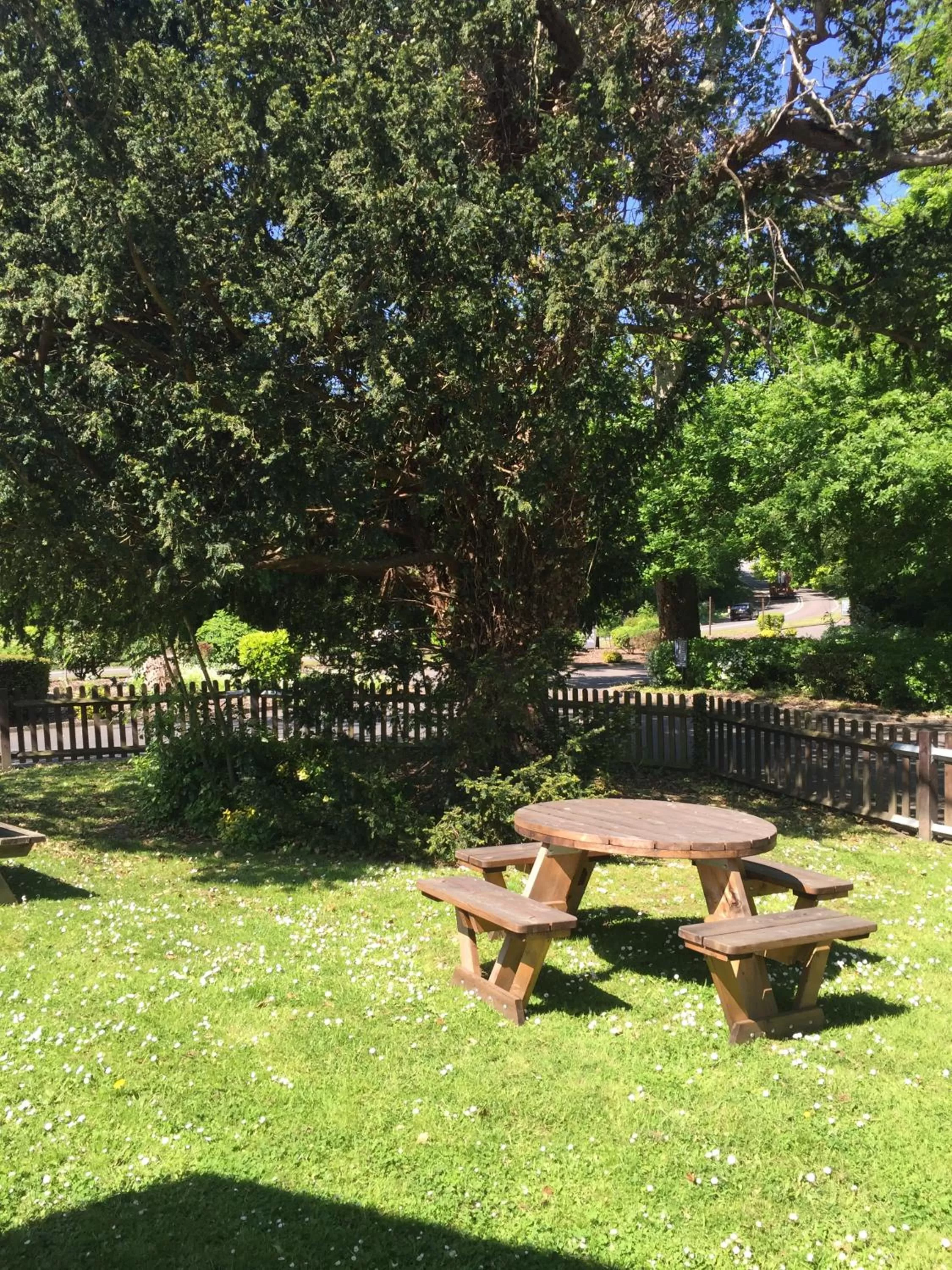 Garden in The White Swan