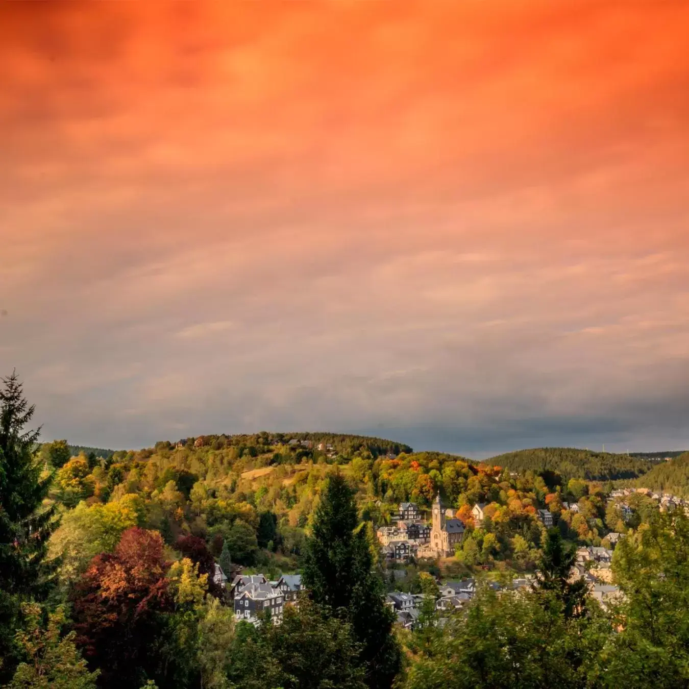 Natural landscape in Hotel Beck