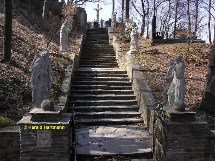 Area and facilities in Hotel zur Sonne