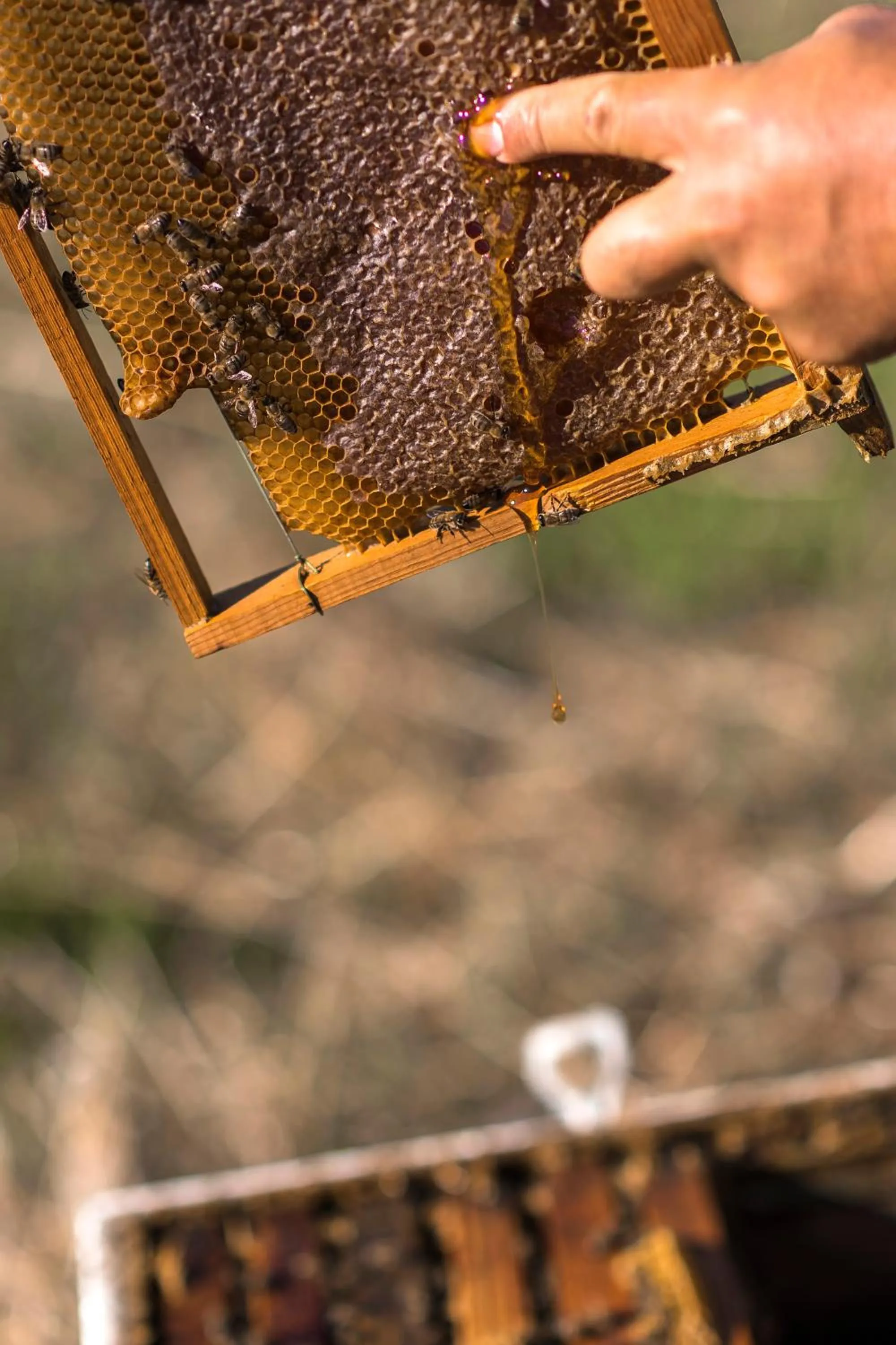 Breakfast in Sperveri Boutique Hotel