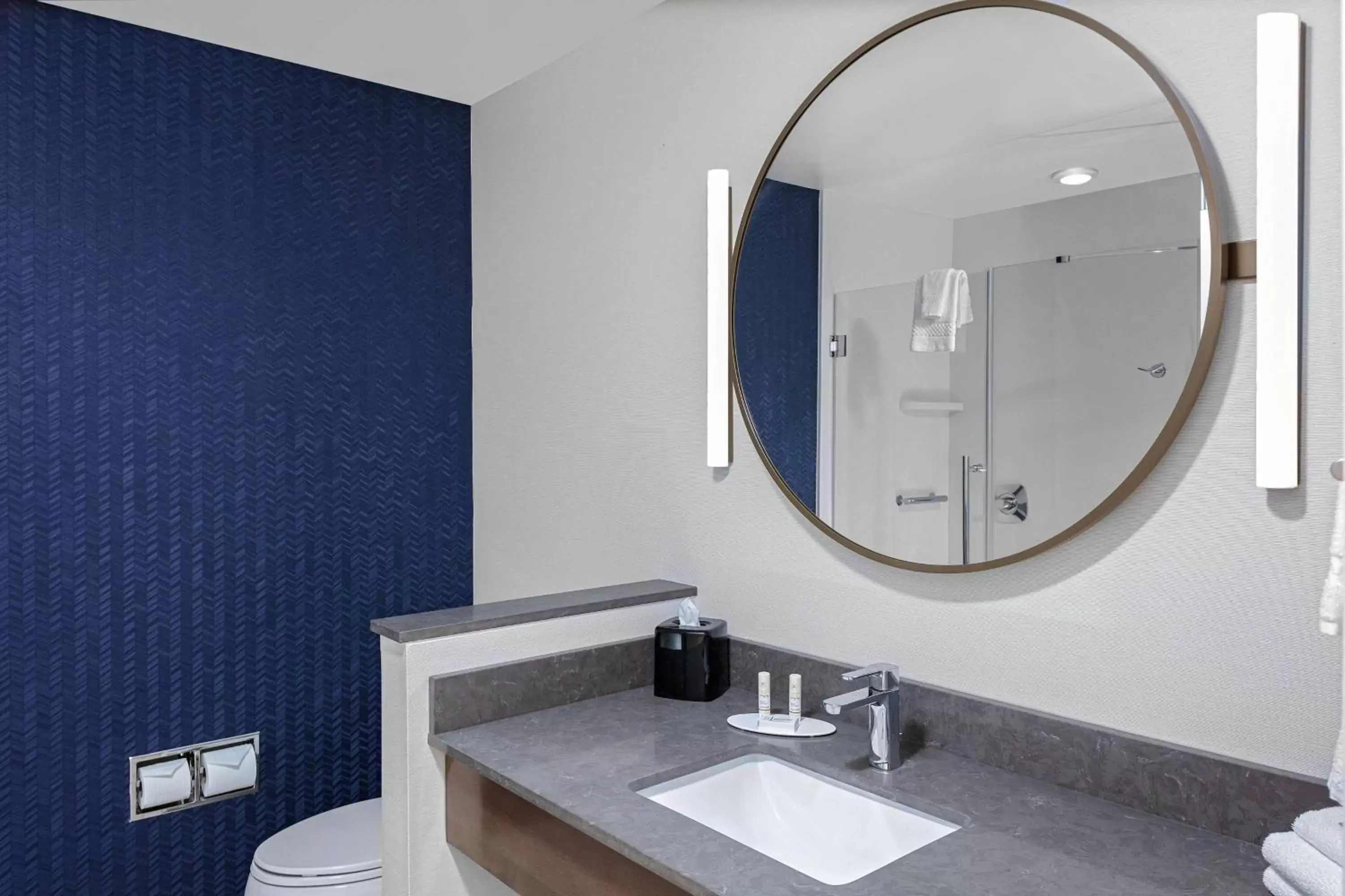 Bathroom in Fairfield Inn & Suites by Marriott Indianapolis Greenfield