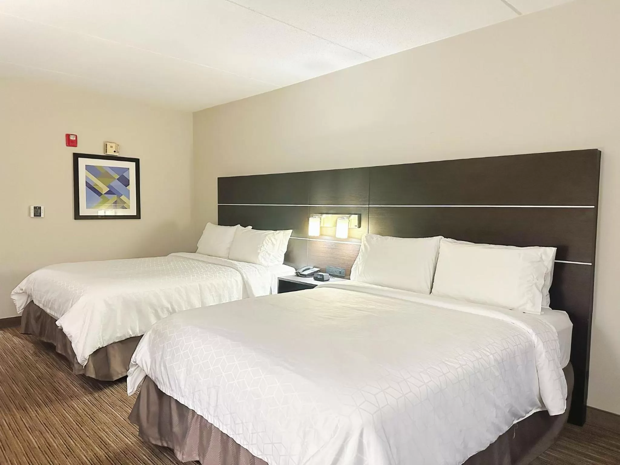 Photo of the whole room, Bed in Holiday Inn Express & Suites - Prospect Heights by IHG