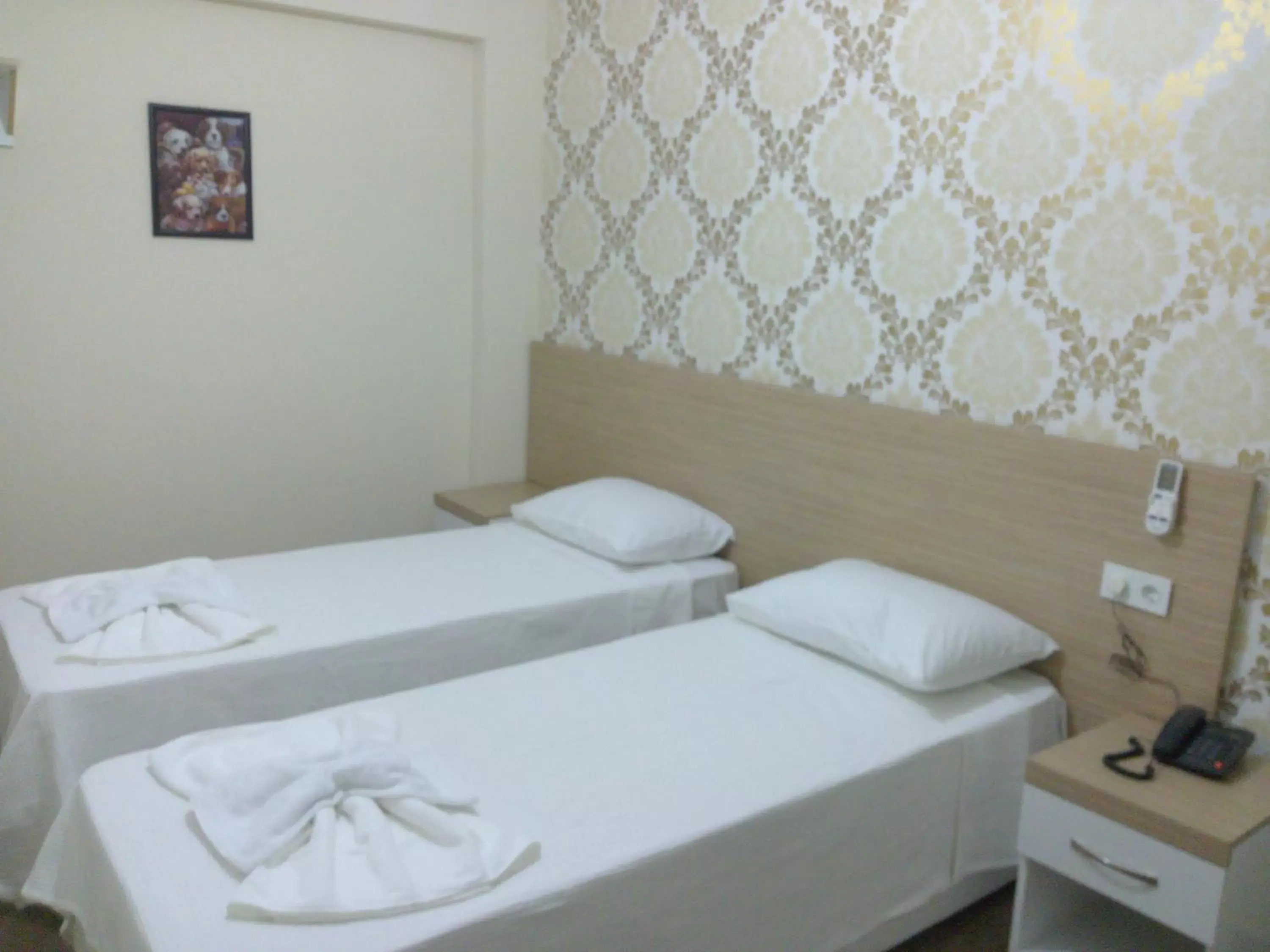 Economy Twin Room in Nicea Hotel