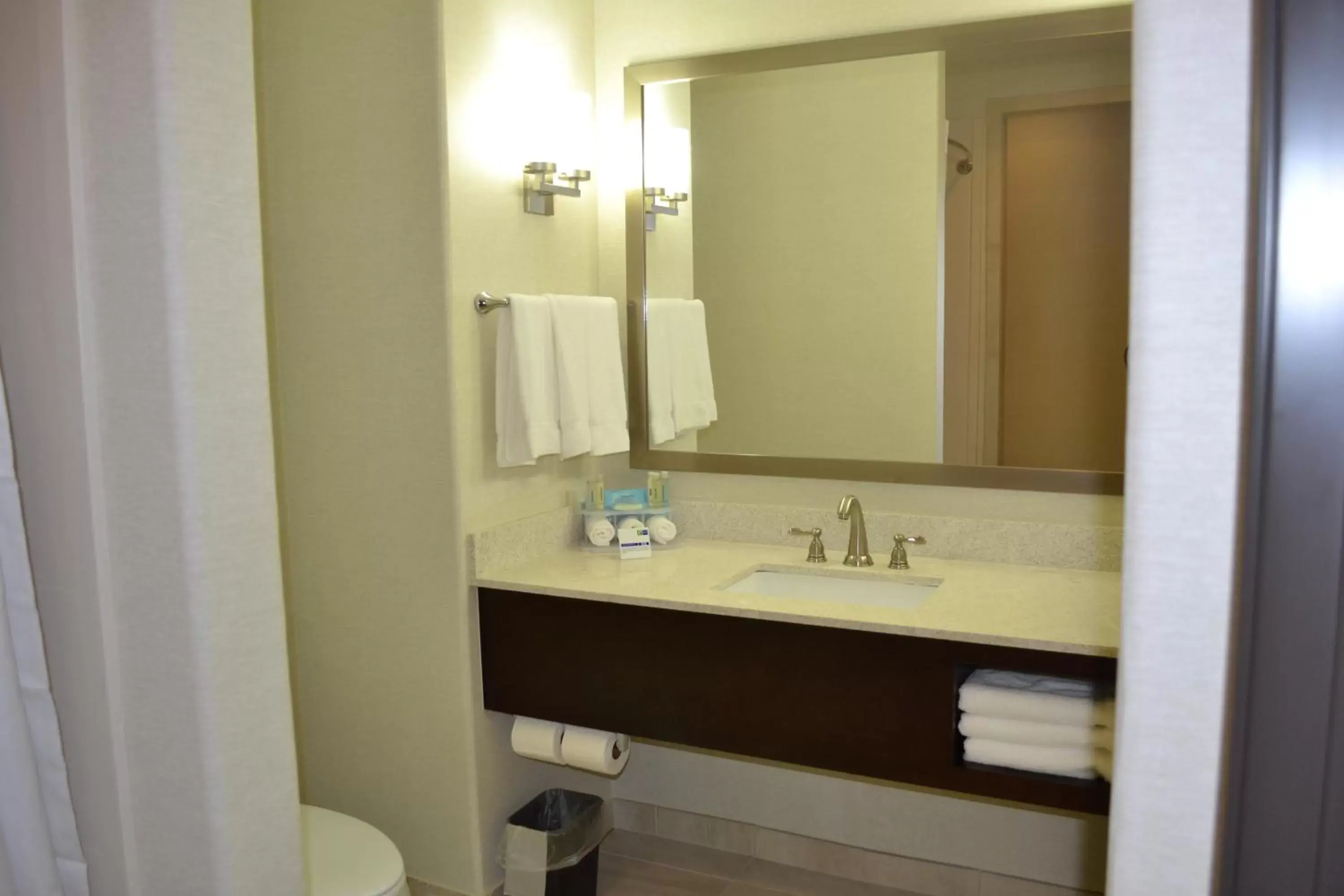Bathroom in Holiday Inn Express Hotel and Suites Duncan, an IHG Hotel