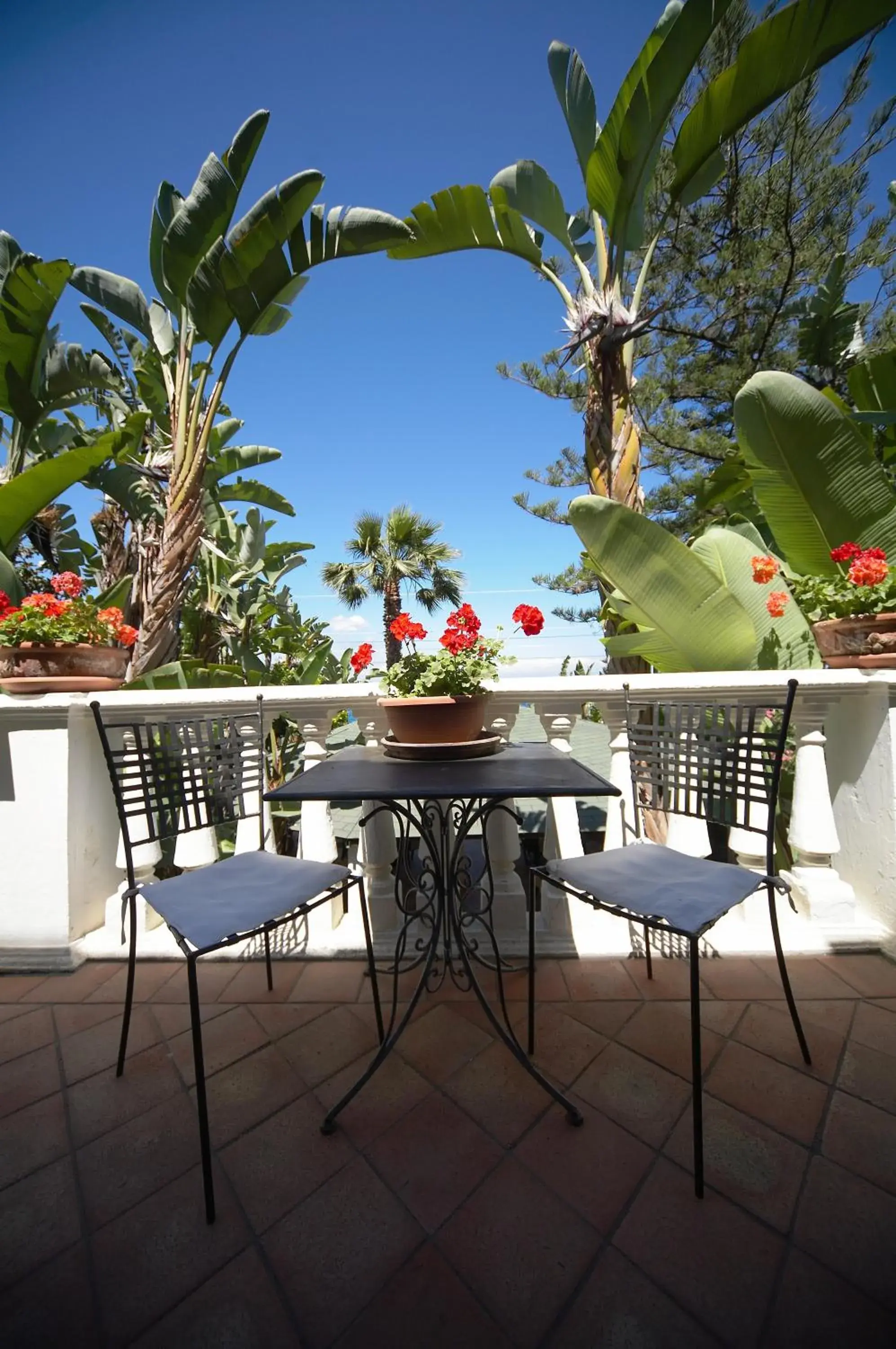 Balcony/Terrace in Hotel Baia Delle Sirene