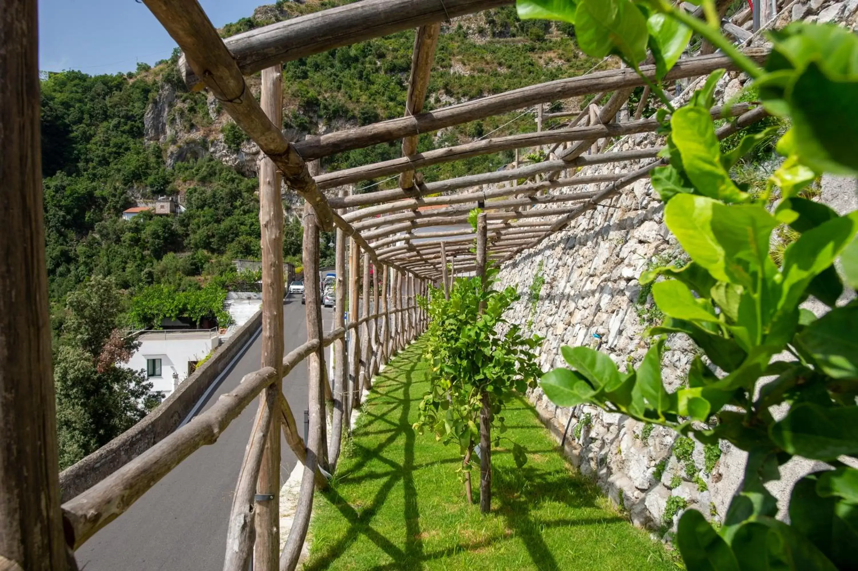 Garden in Villa Foglia Amalfi