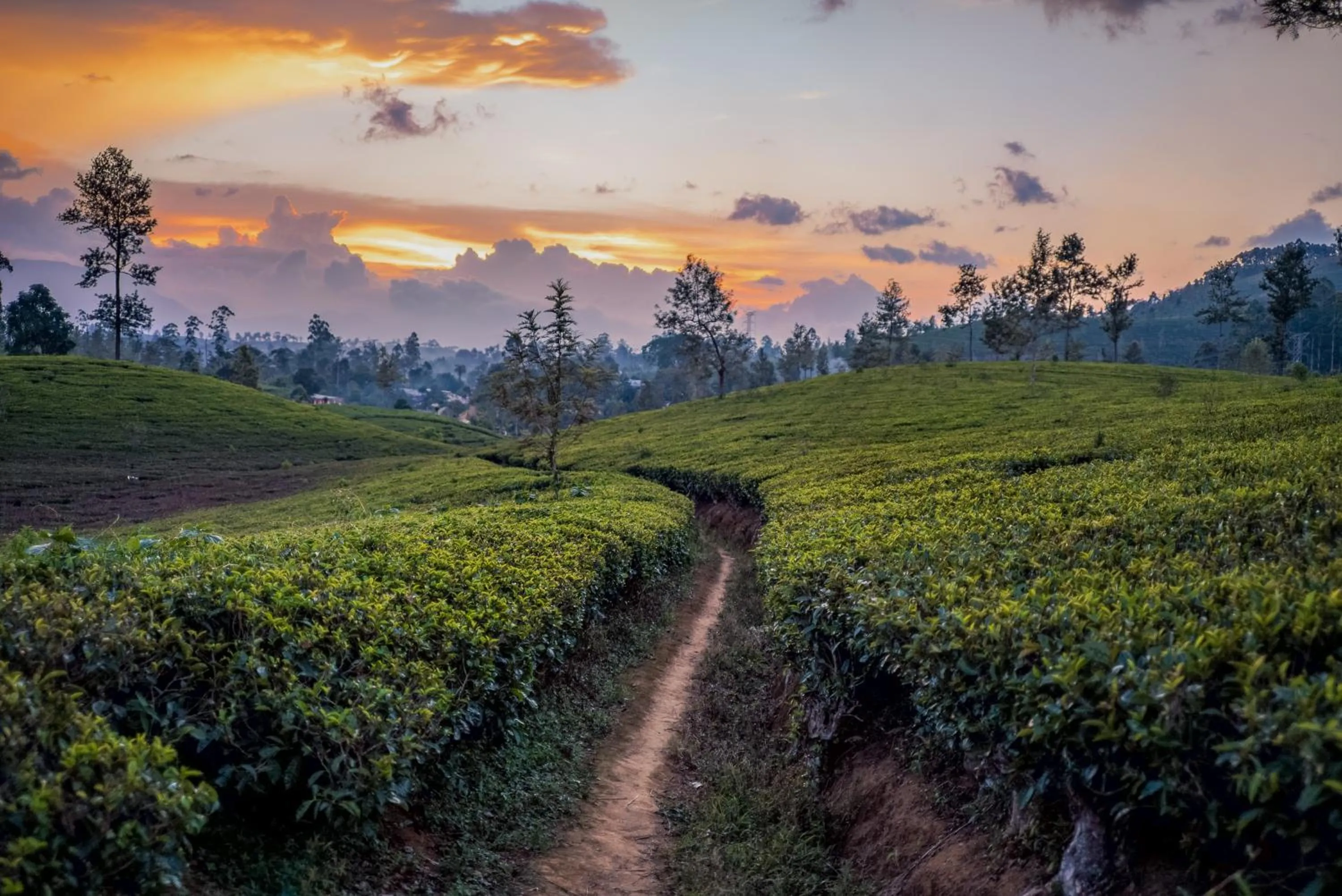 Garden view in Langdale Boutique Hotel by Amaya
