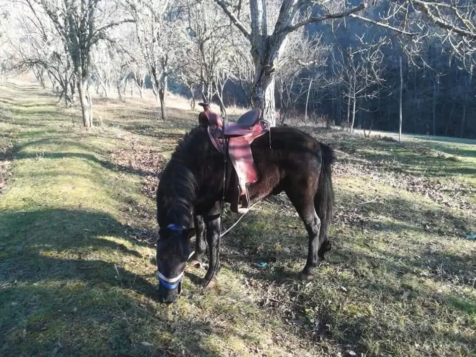 Etno selo Vile Jefimija, selo Preobrazenje, Vranje