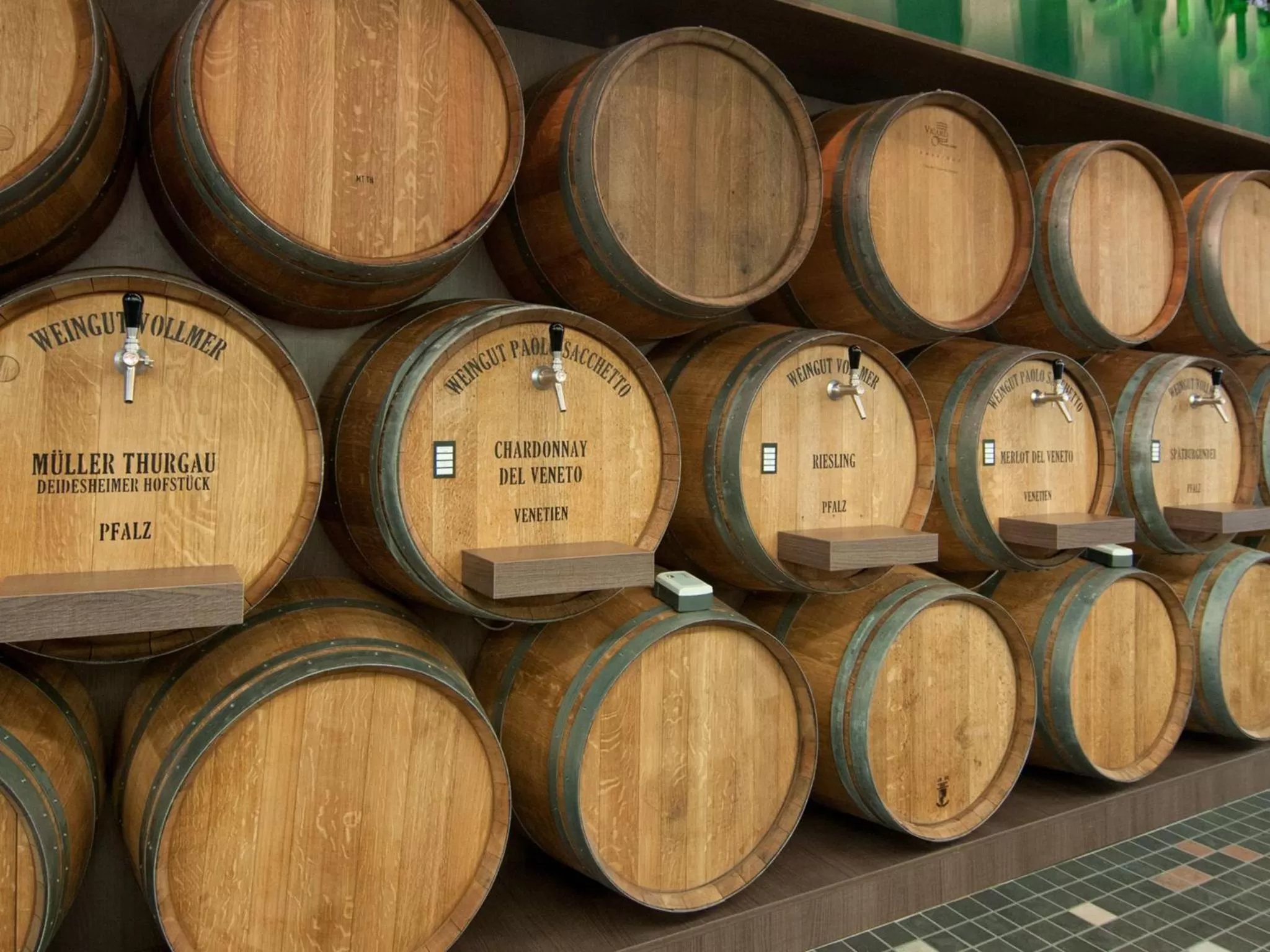 Restaurant/places to eat in aja Warnemünde