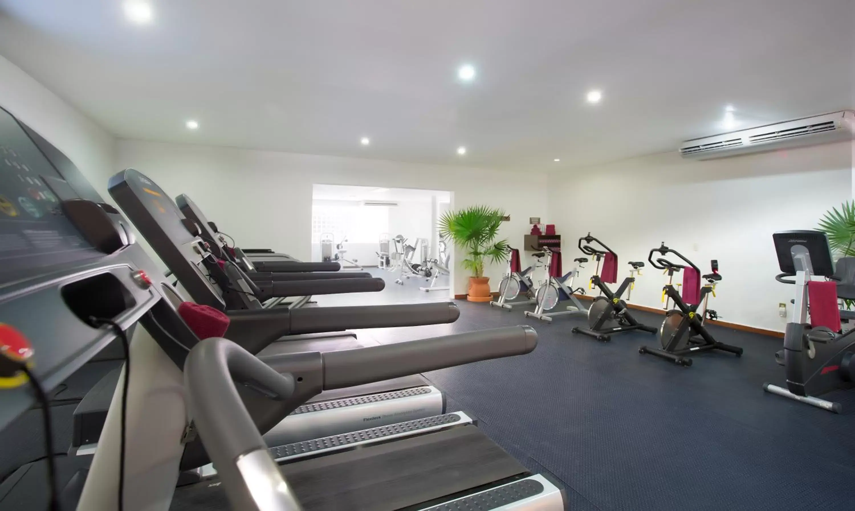 Fitness centre/facilities, Fitness Center/Facilities in Barceló Ixtapa - All Inclusive