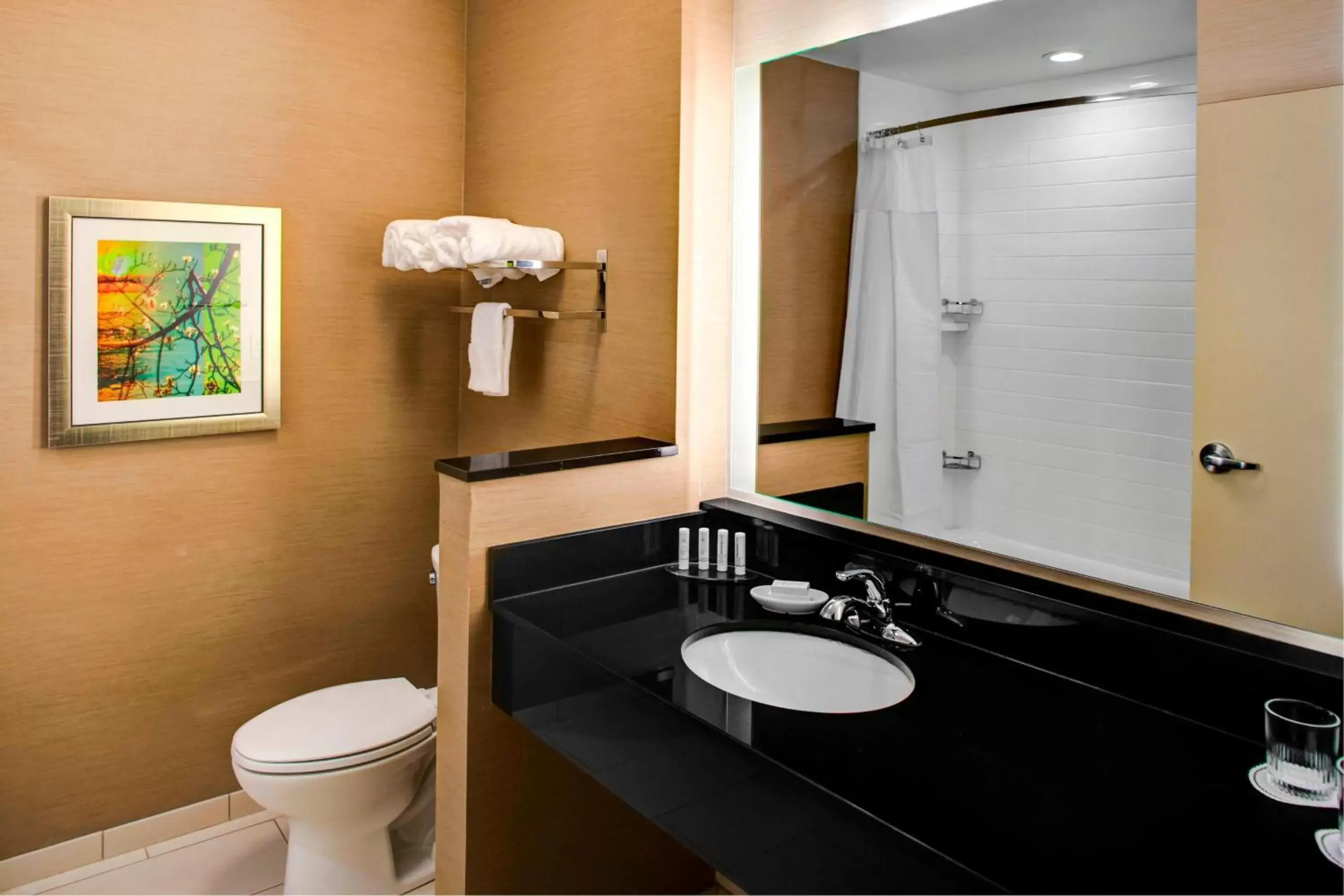 Bathroom in Fairfield Inn & Suites by Marriott Douglas